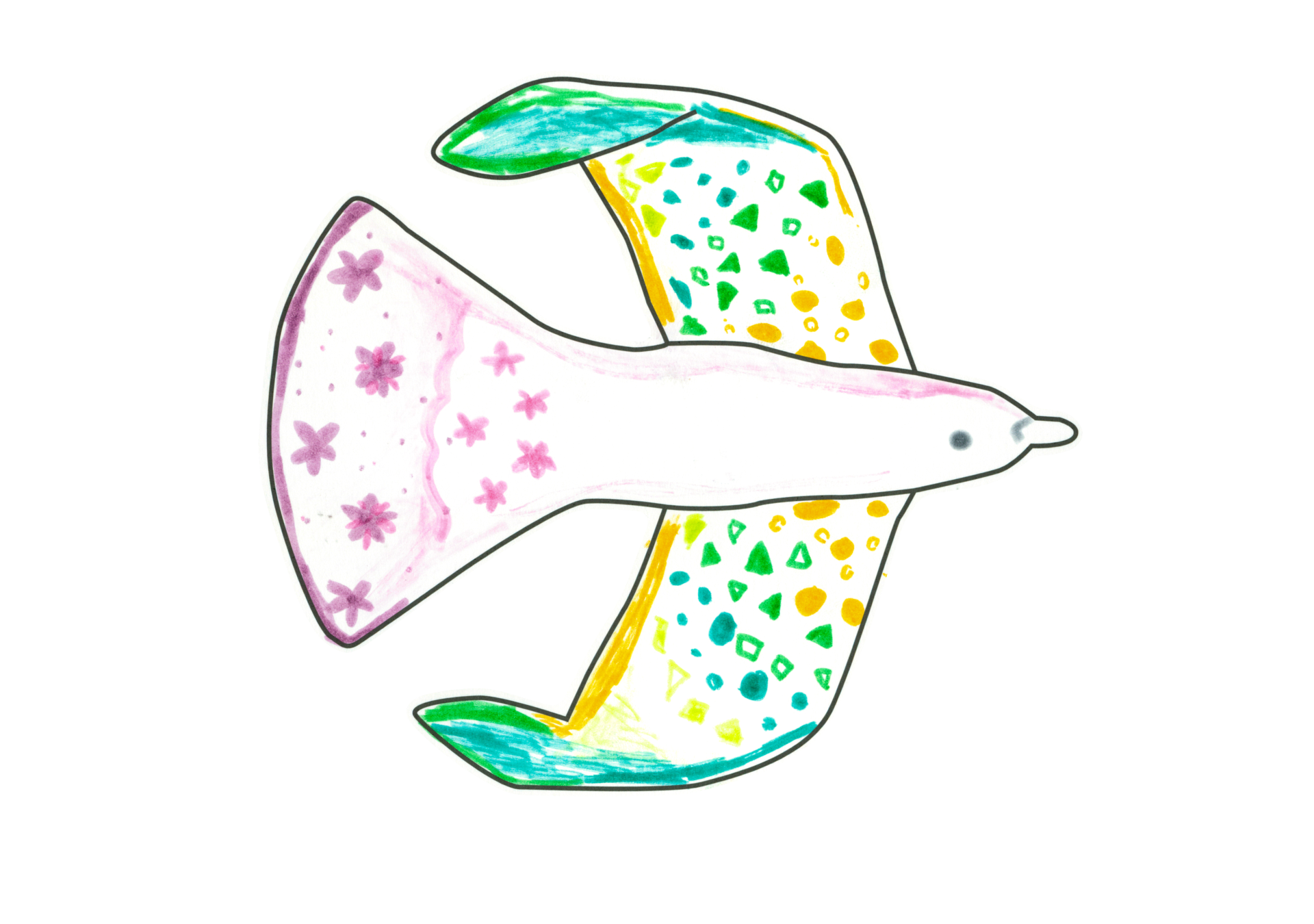 漂亮的鳥