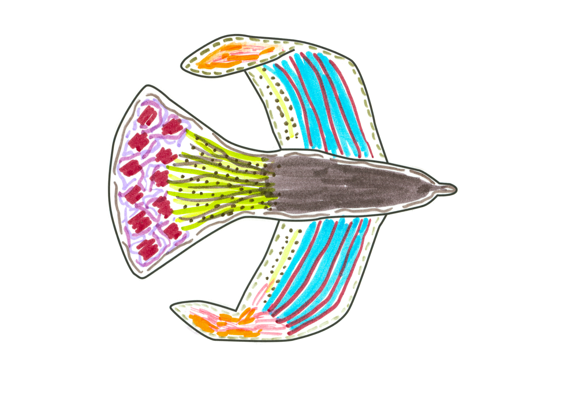 魚