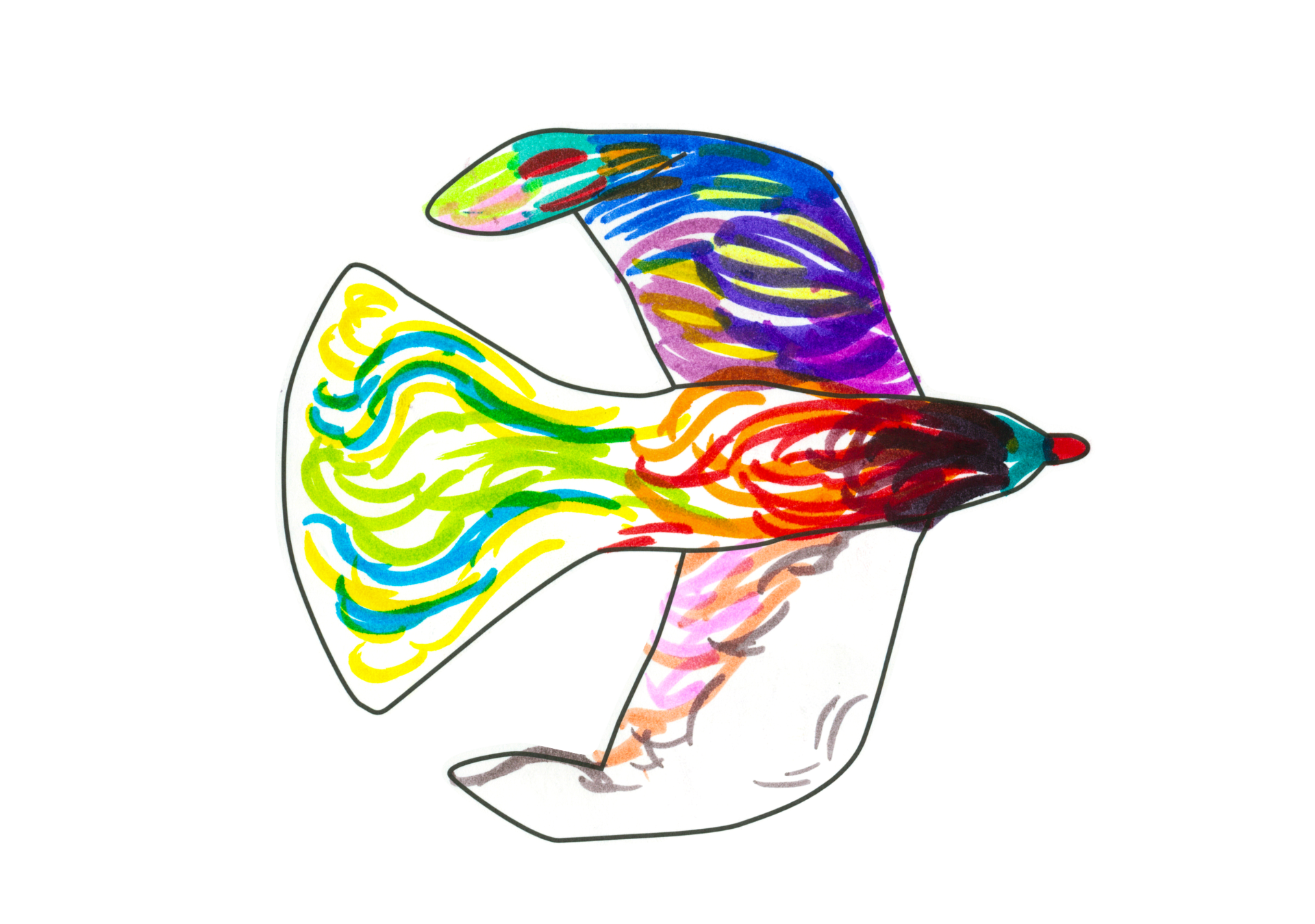 自由飛翔的天氣鳥