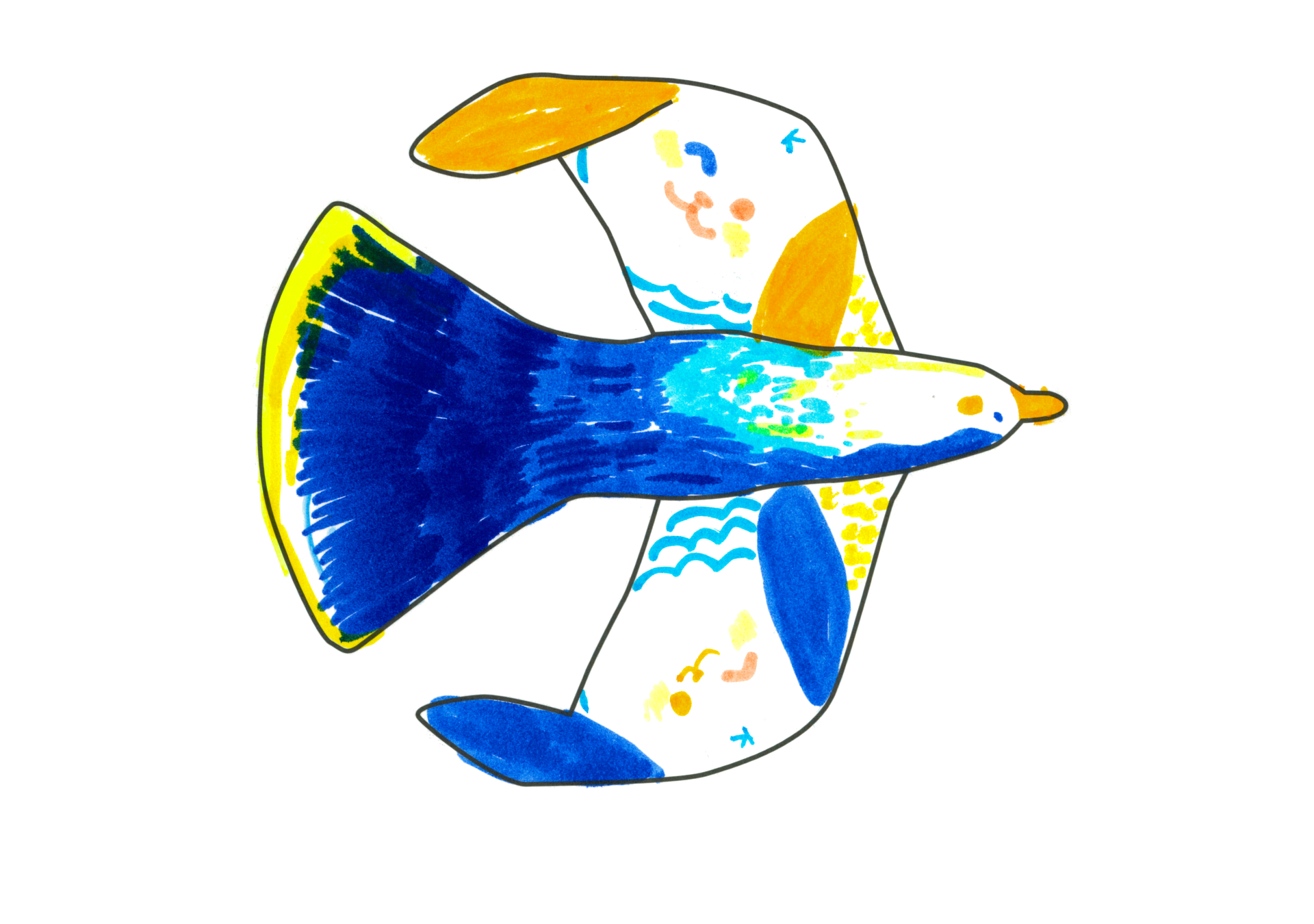 自由飛翔的天氣鳥