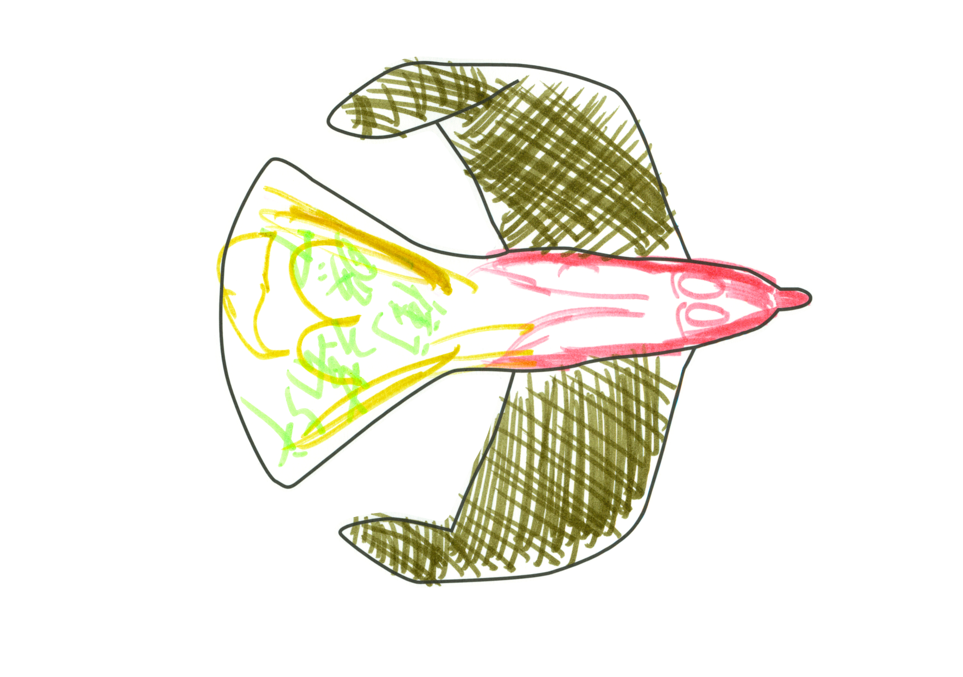 自由飛翔的天氣鳥