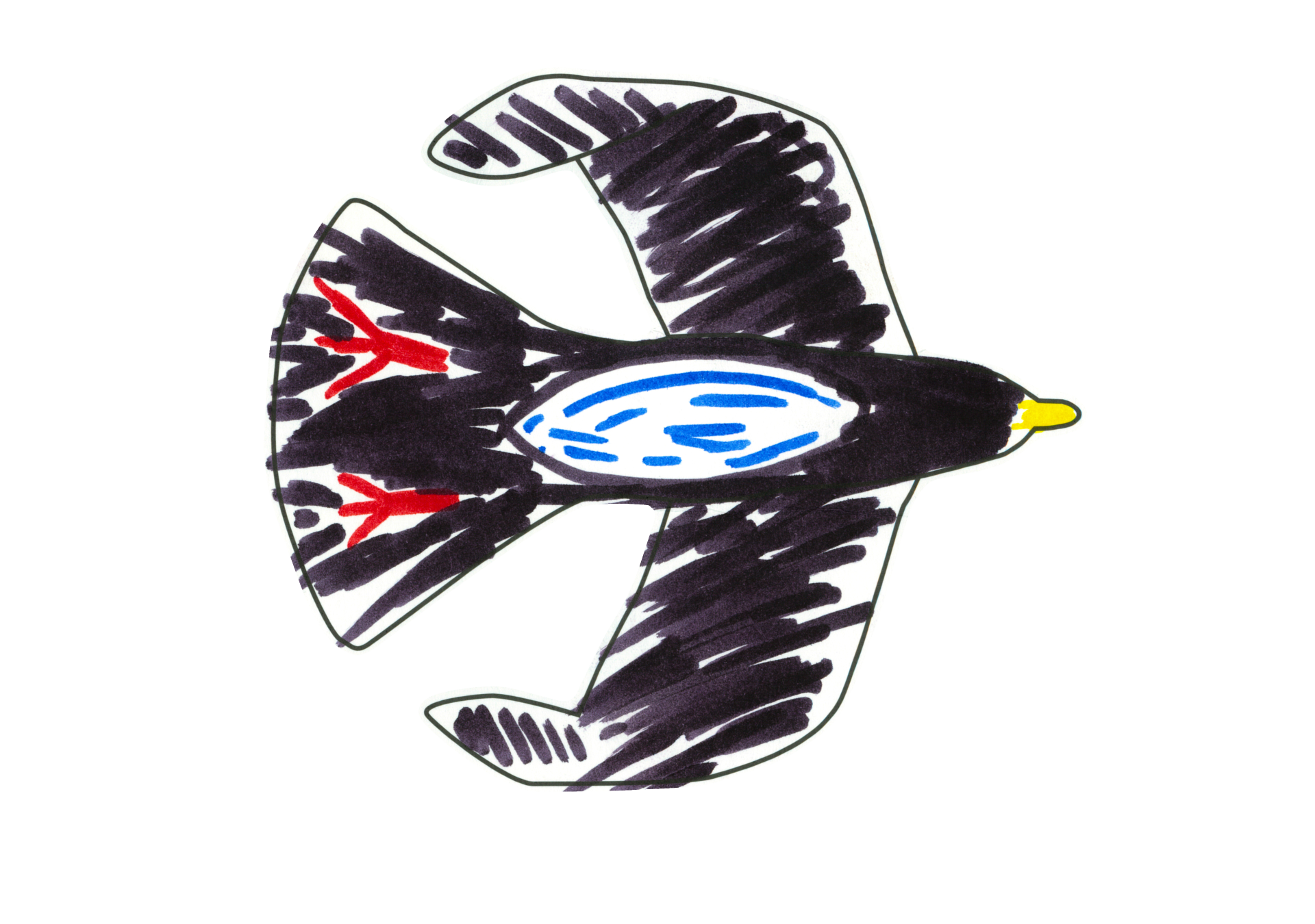 自由飛翔的天氣鳥