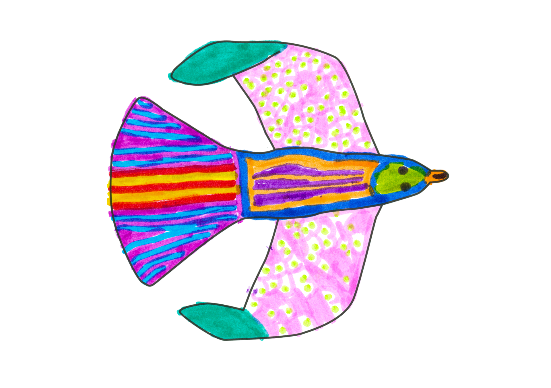 LuLu