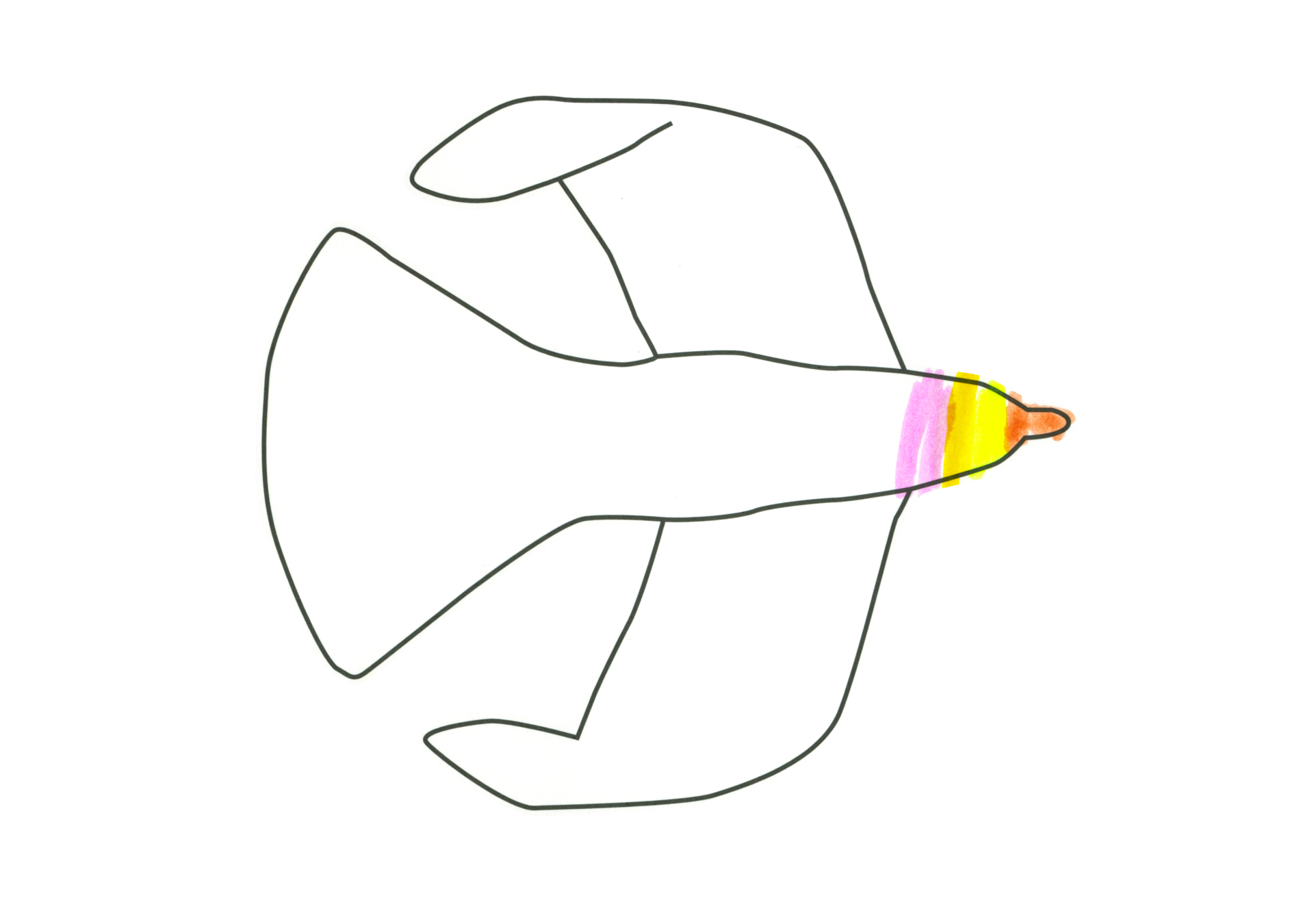 自由飛翔的天氣鳥