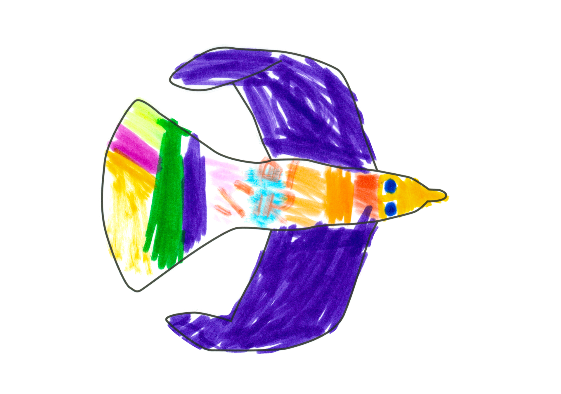 彩色鳥