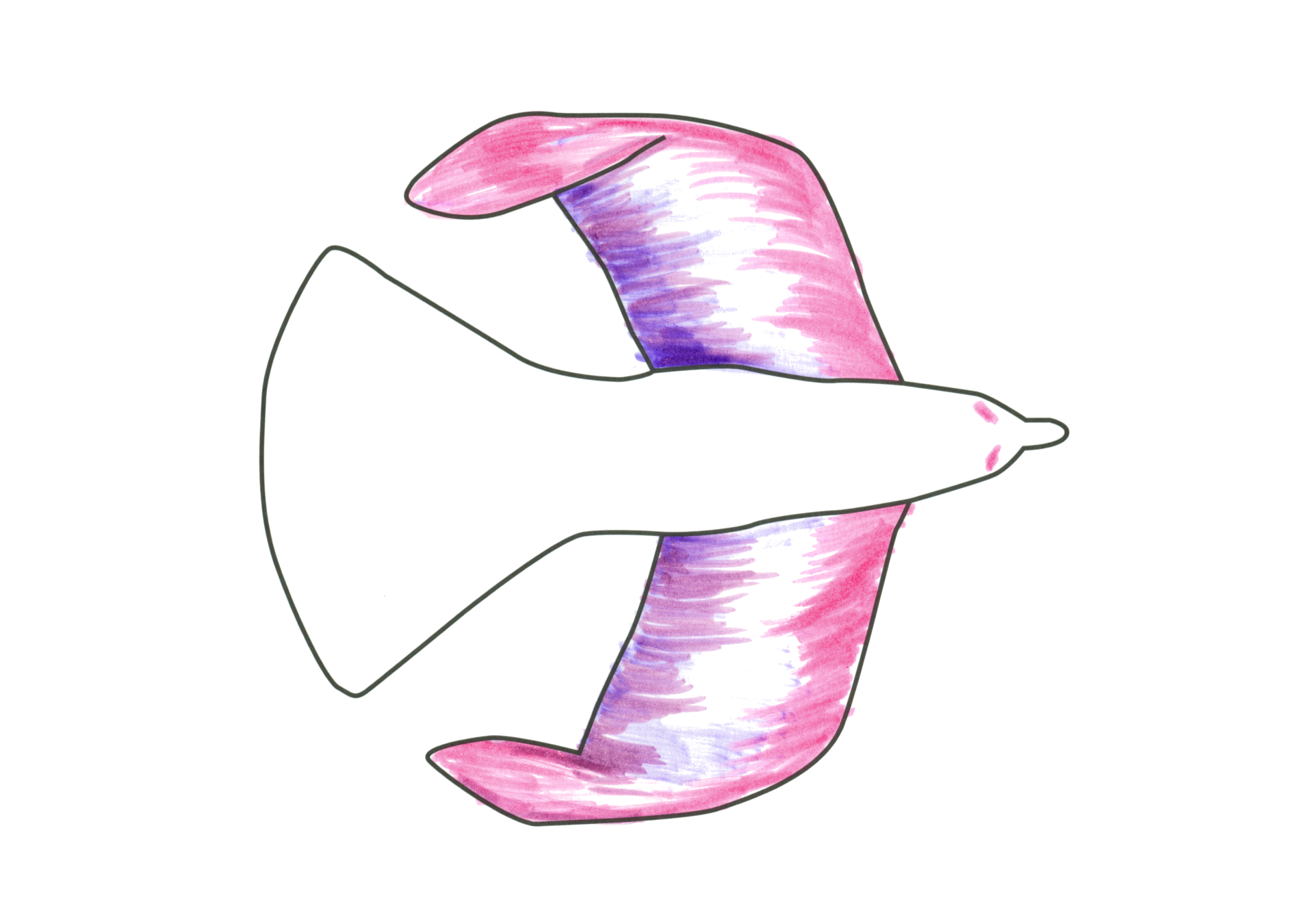 Bb