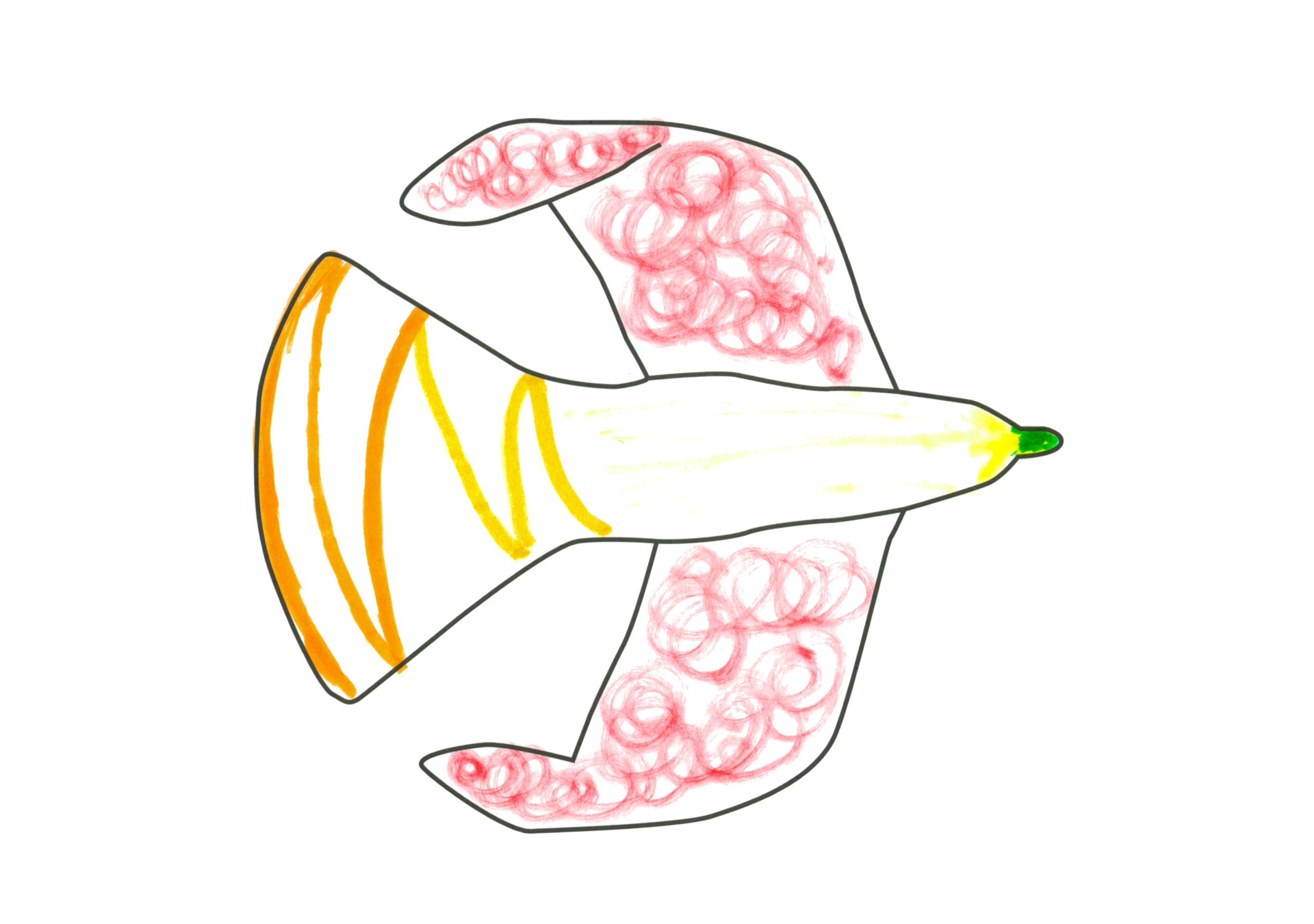 自由飛翔的天氣鳥