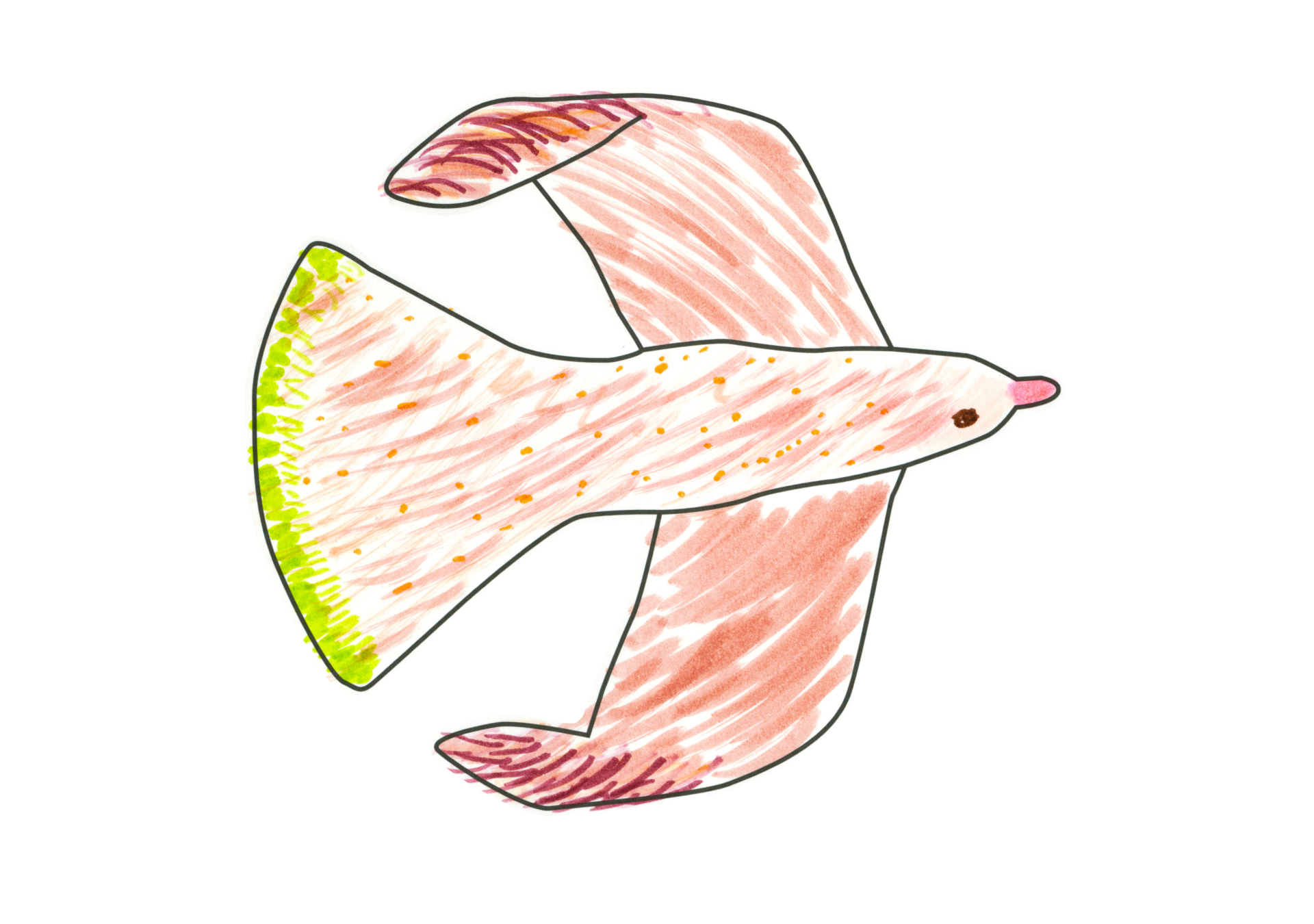 自由飛翔的天氣鳥