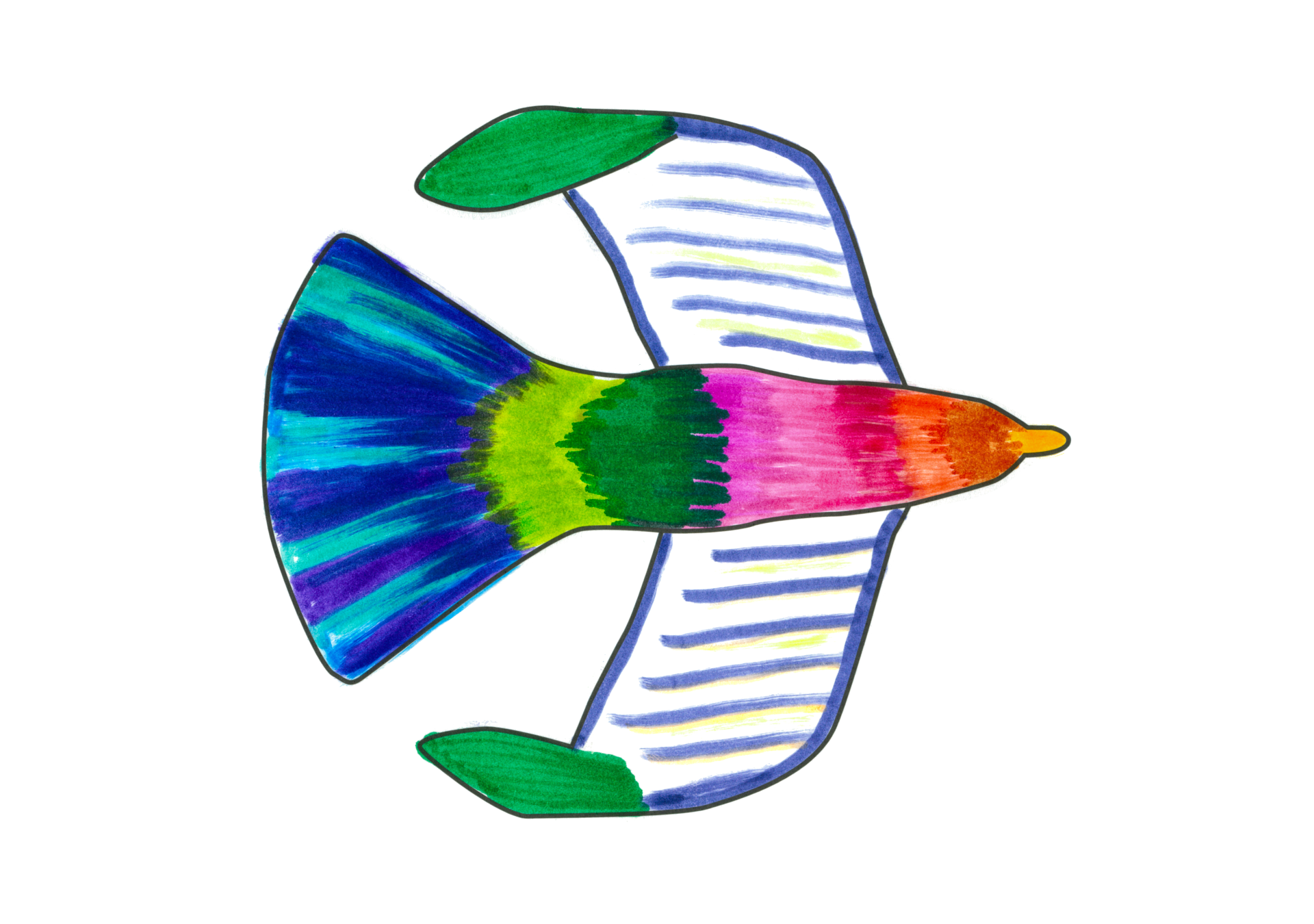 08518 Abalone