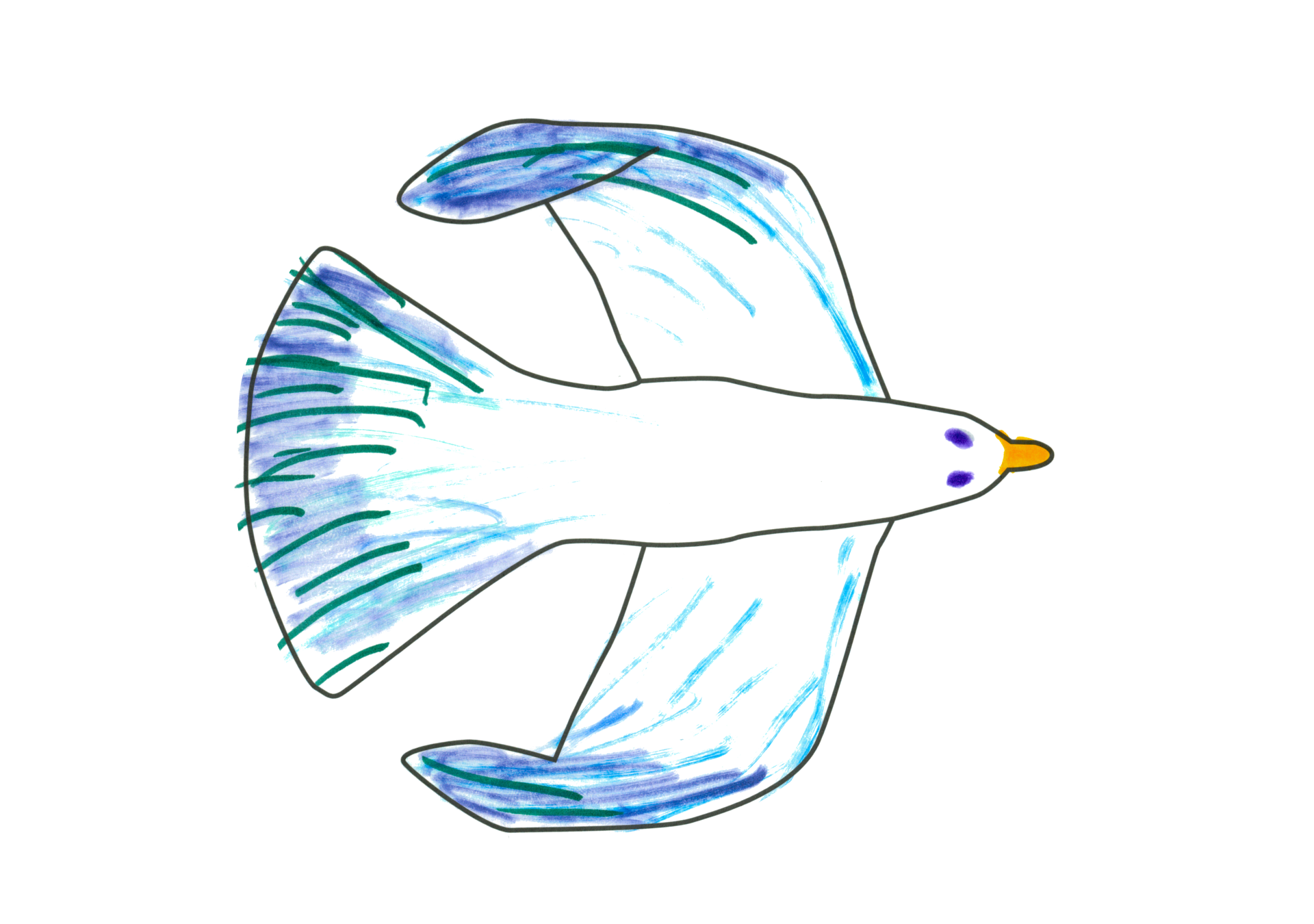 自由飛翔的天氣鳥