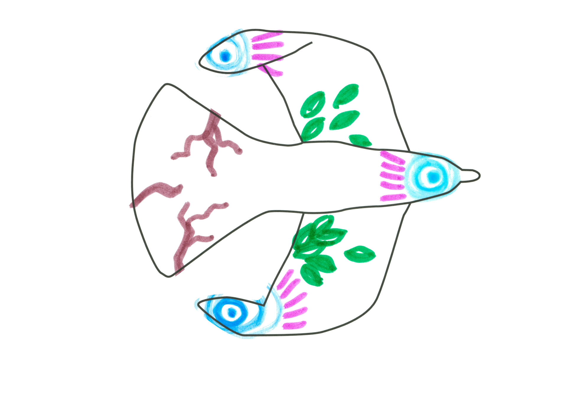 自由飛翔的天氣鳥