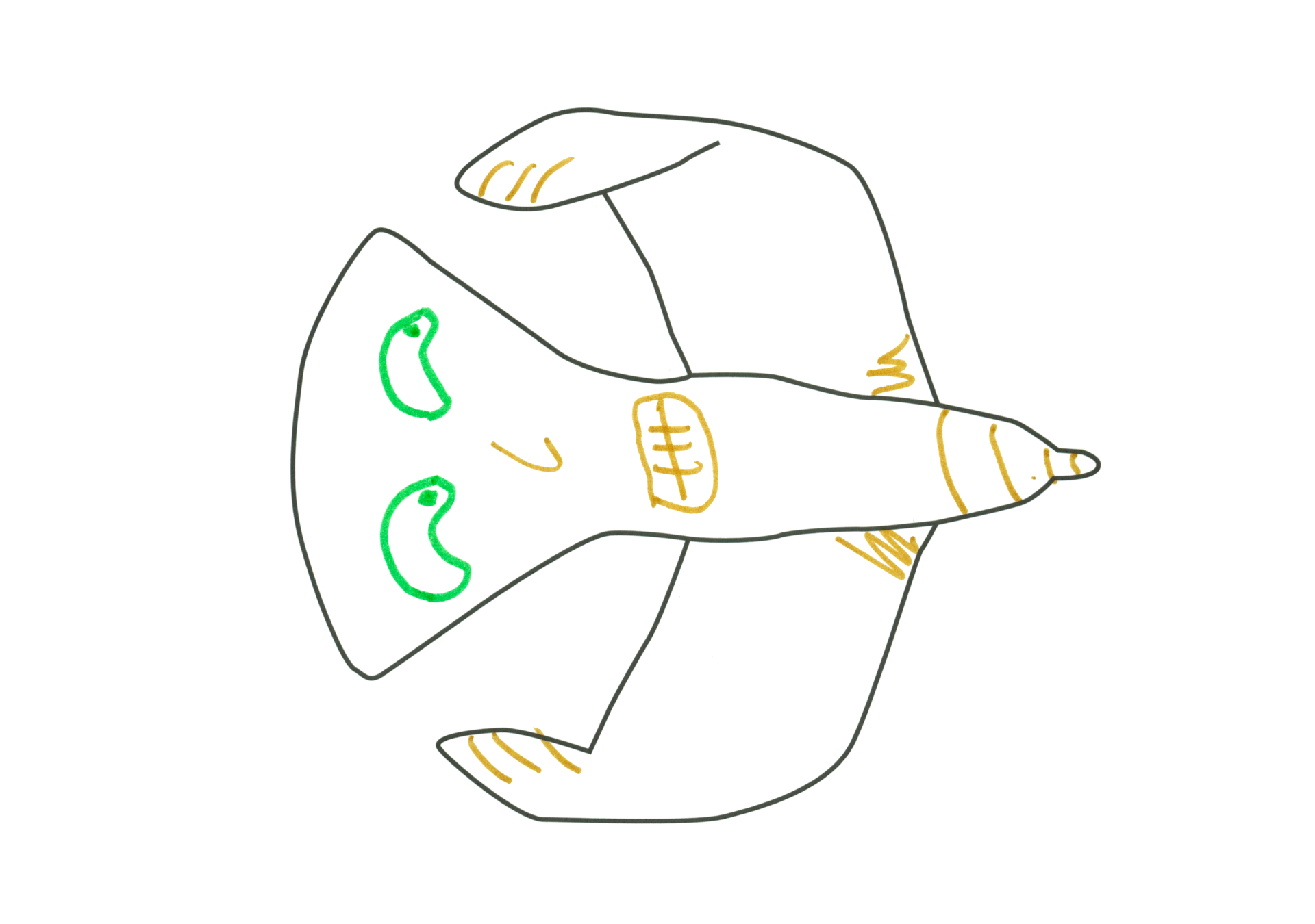 自由飛翔的天氣鳥