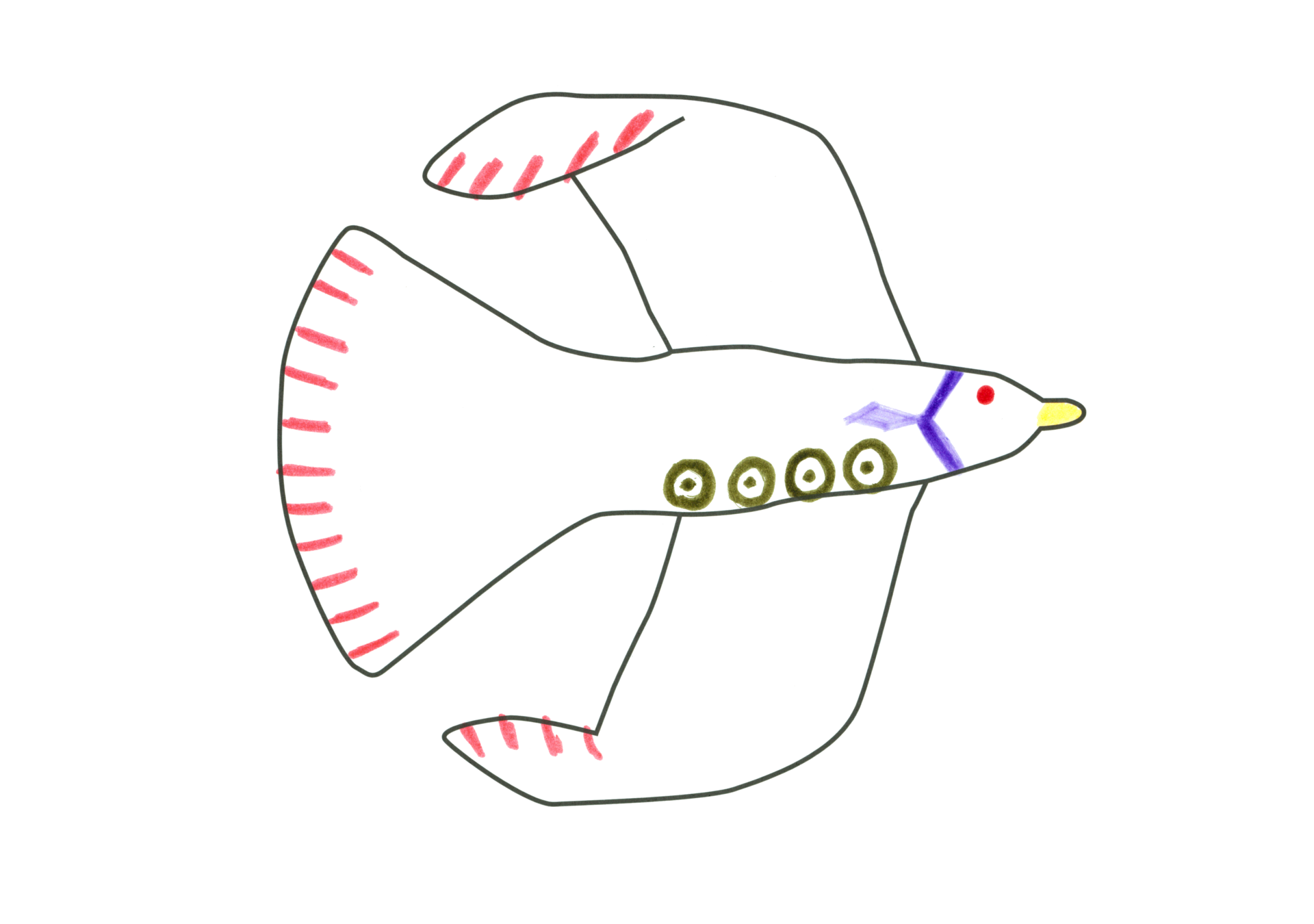 MOCA甜甜圈