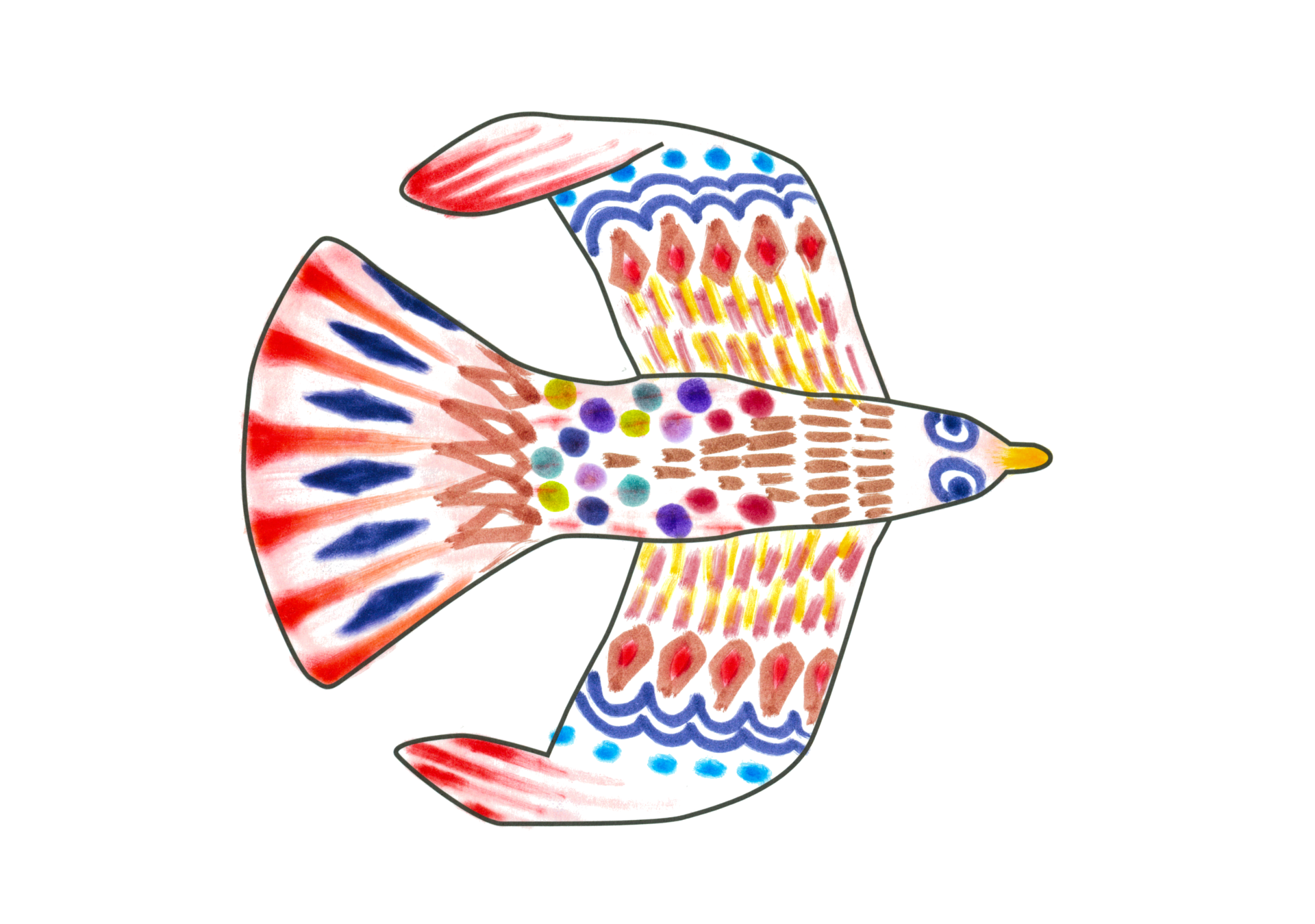 自由飛翔的天氣鳥