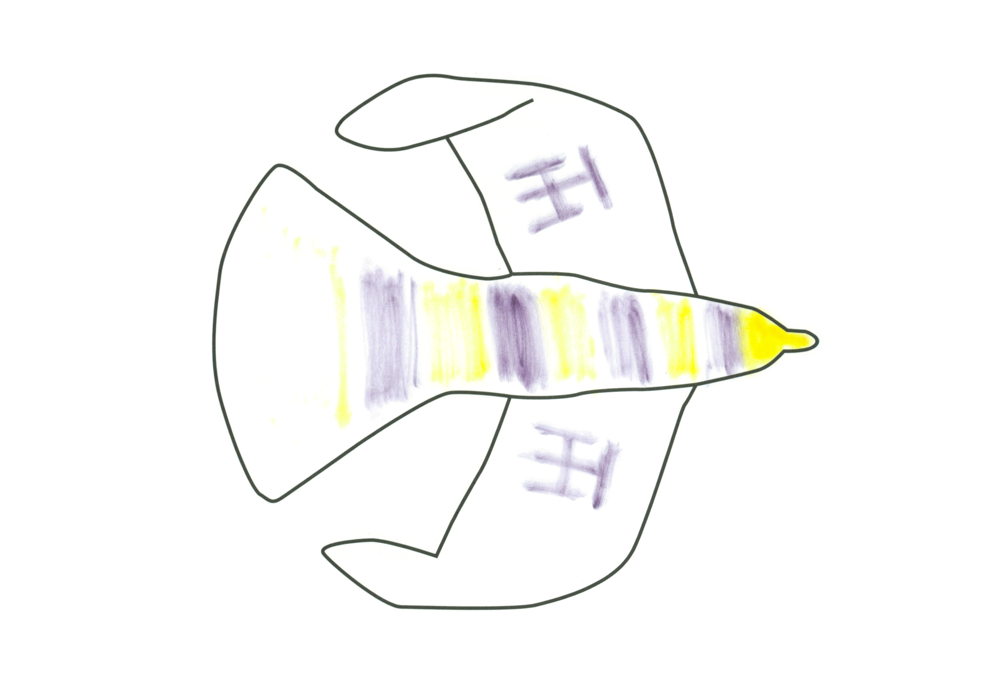 自由飛翔的天氣鳥