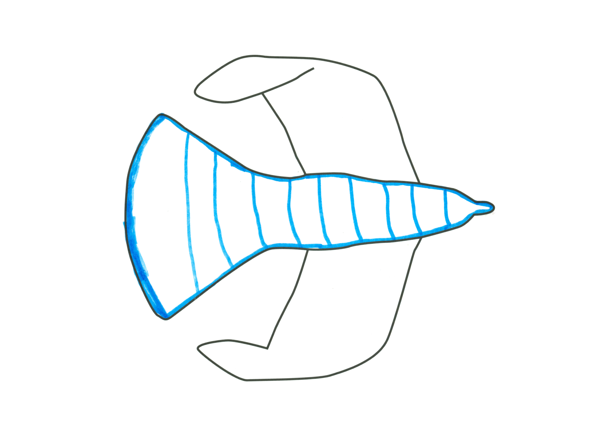 ribbed pleasure