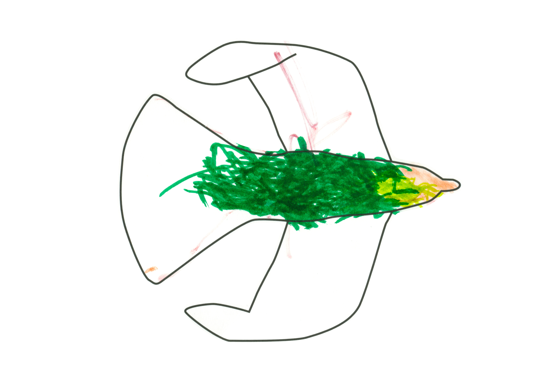 自由飛翔的天氣鳥