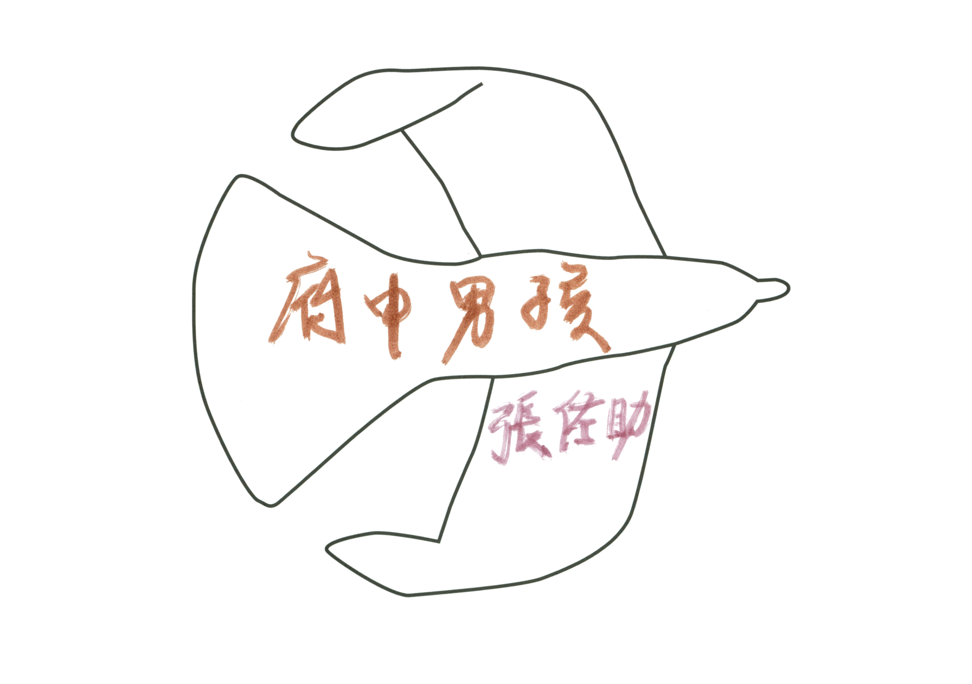 自由飛翔的天氣鳥