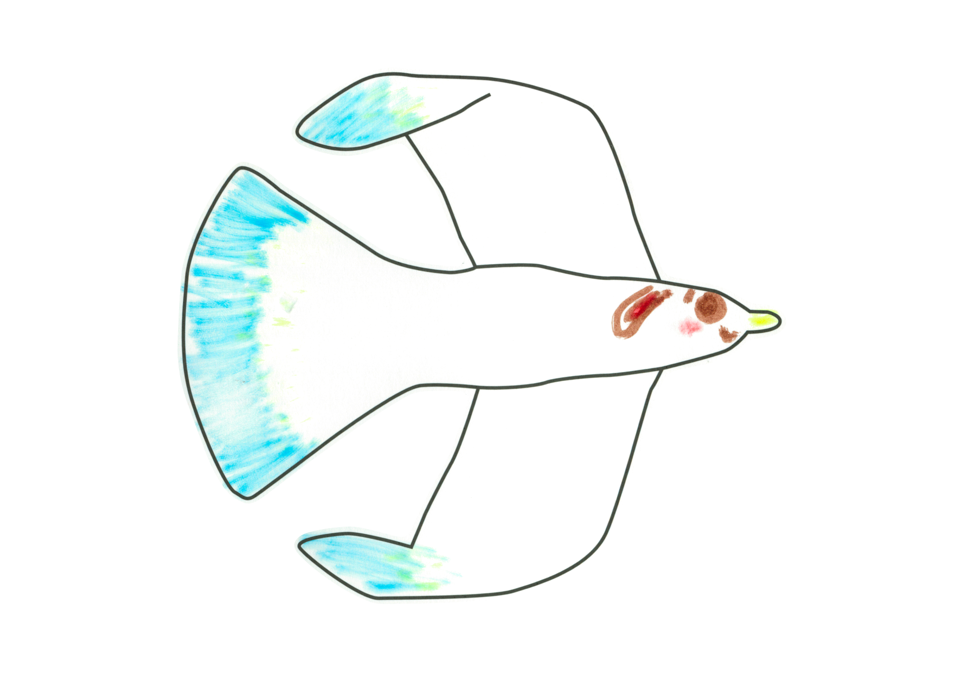 自由飛翔的天氣鳥