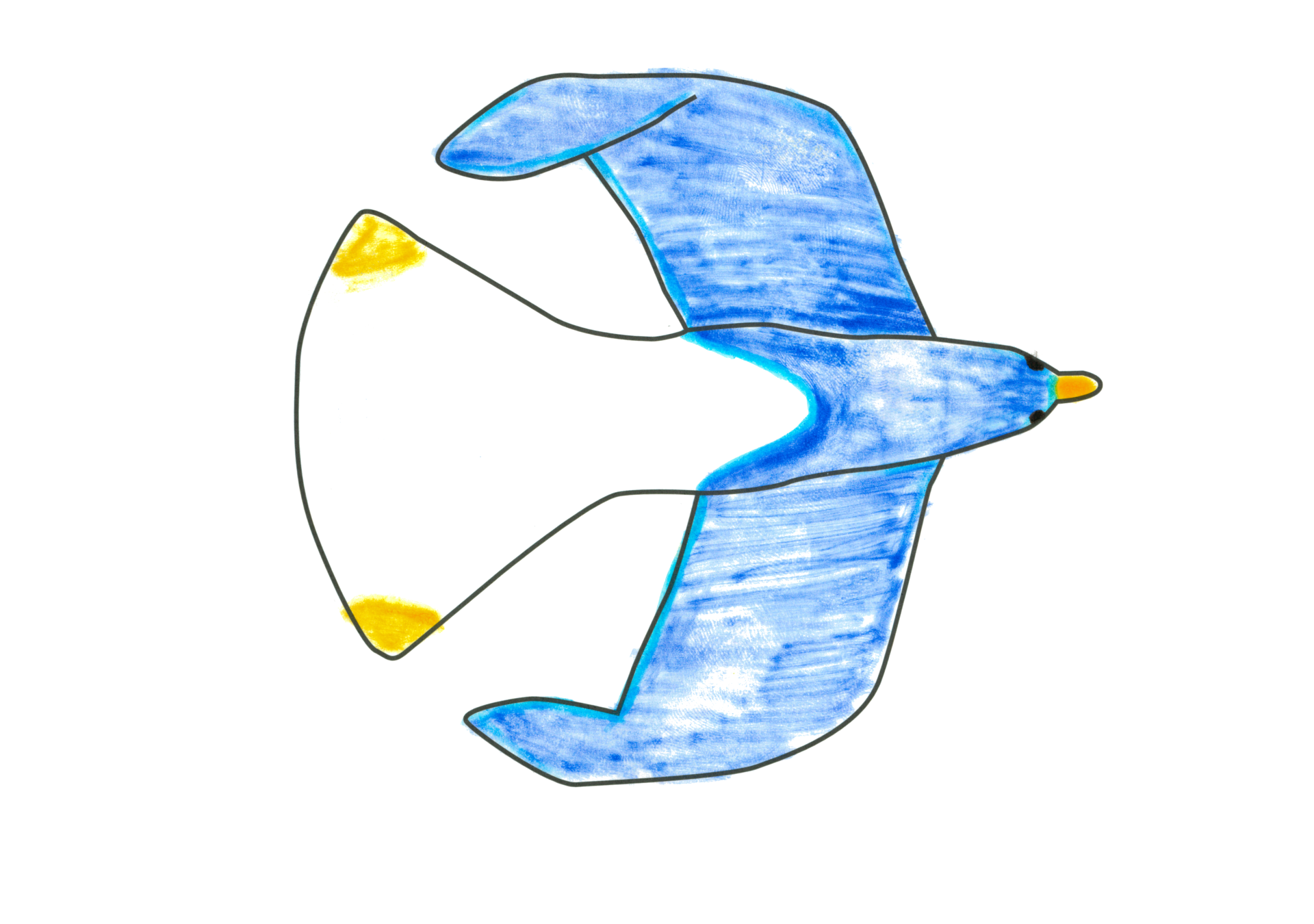 自由飛翔的天氣鳥