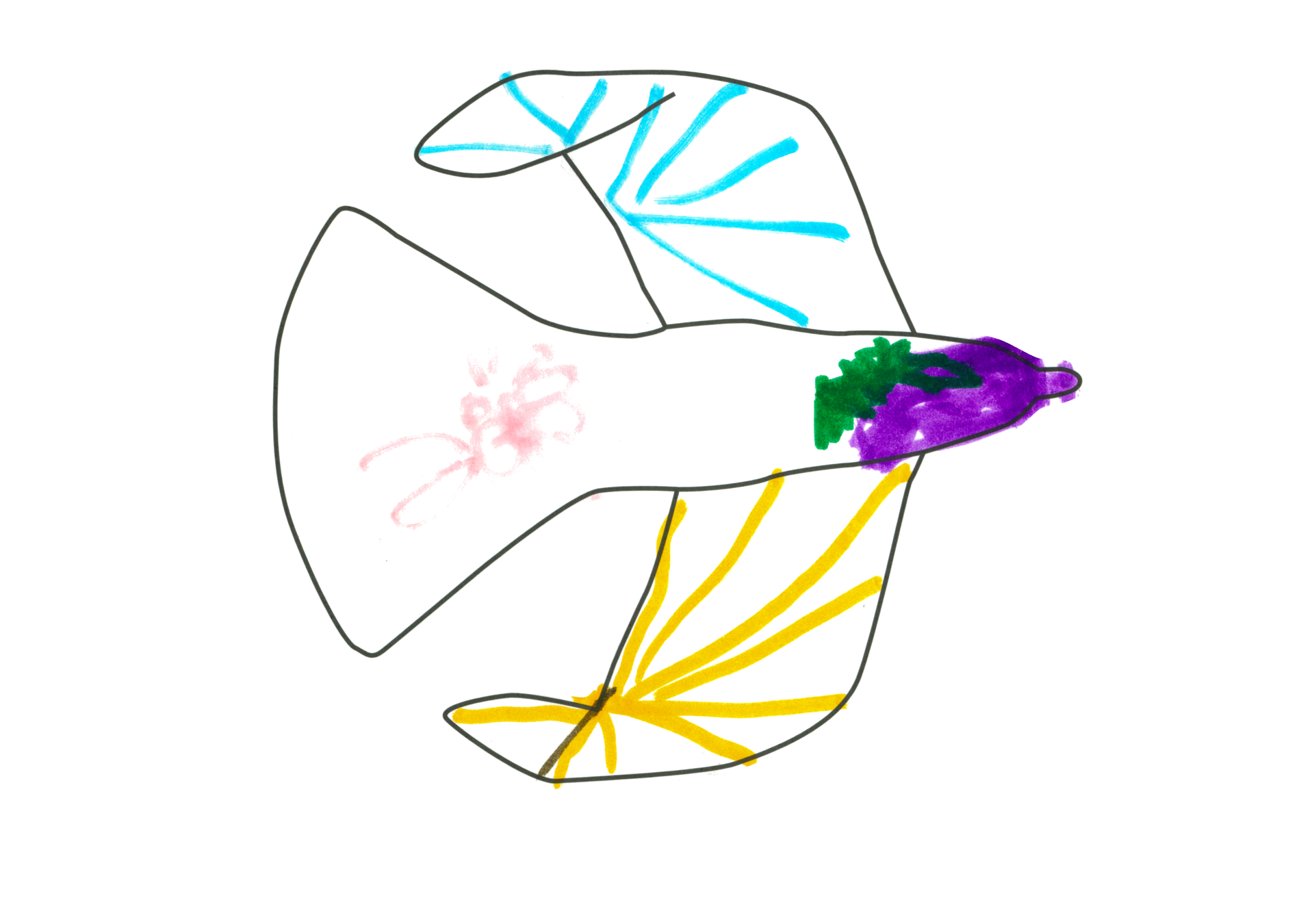 08862 自由飛翔的天氣鳥