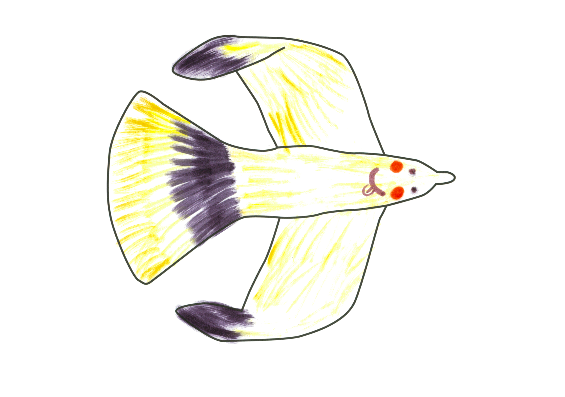 08933 自由飛翔的天氣鳥
