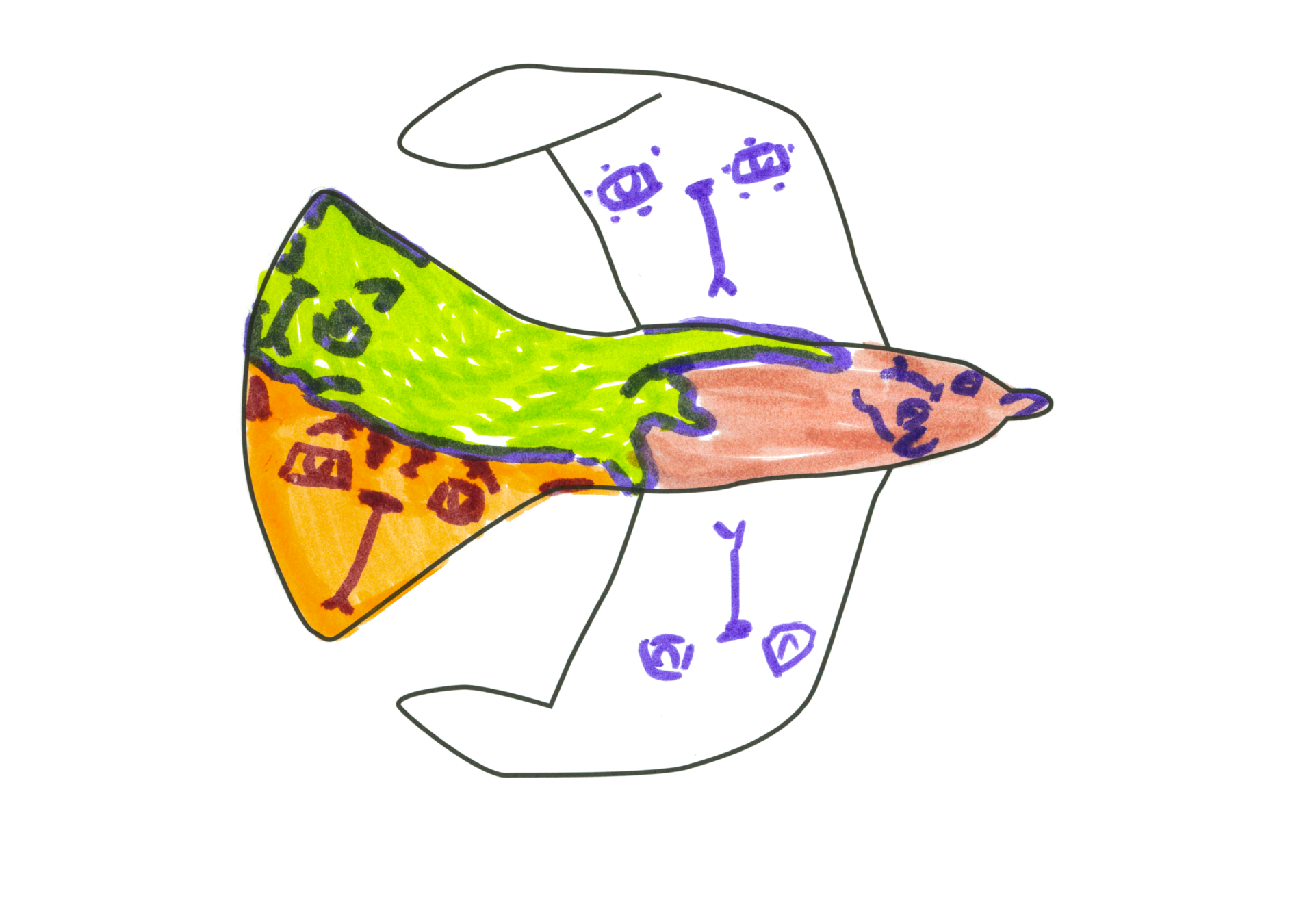 08949 自由飛翔的天氣鳥