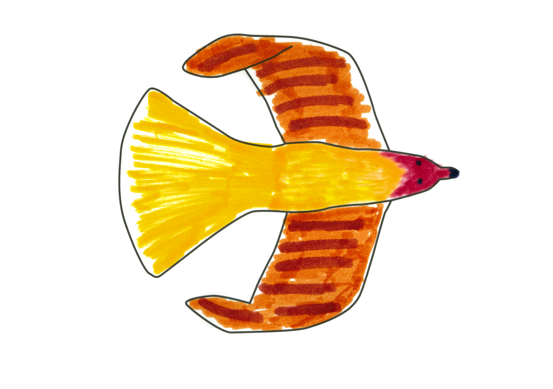 自由飛翔的天氣鳥