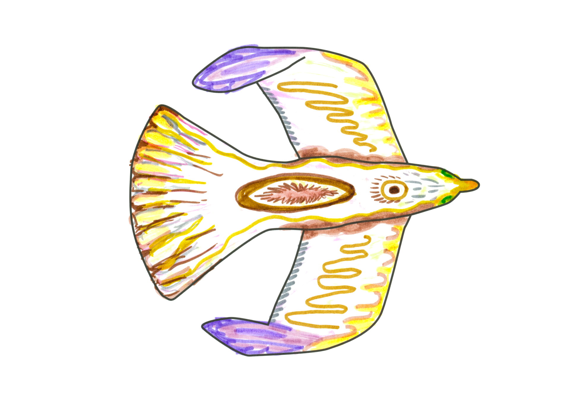 自由飛翔的天氣鳥