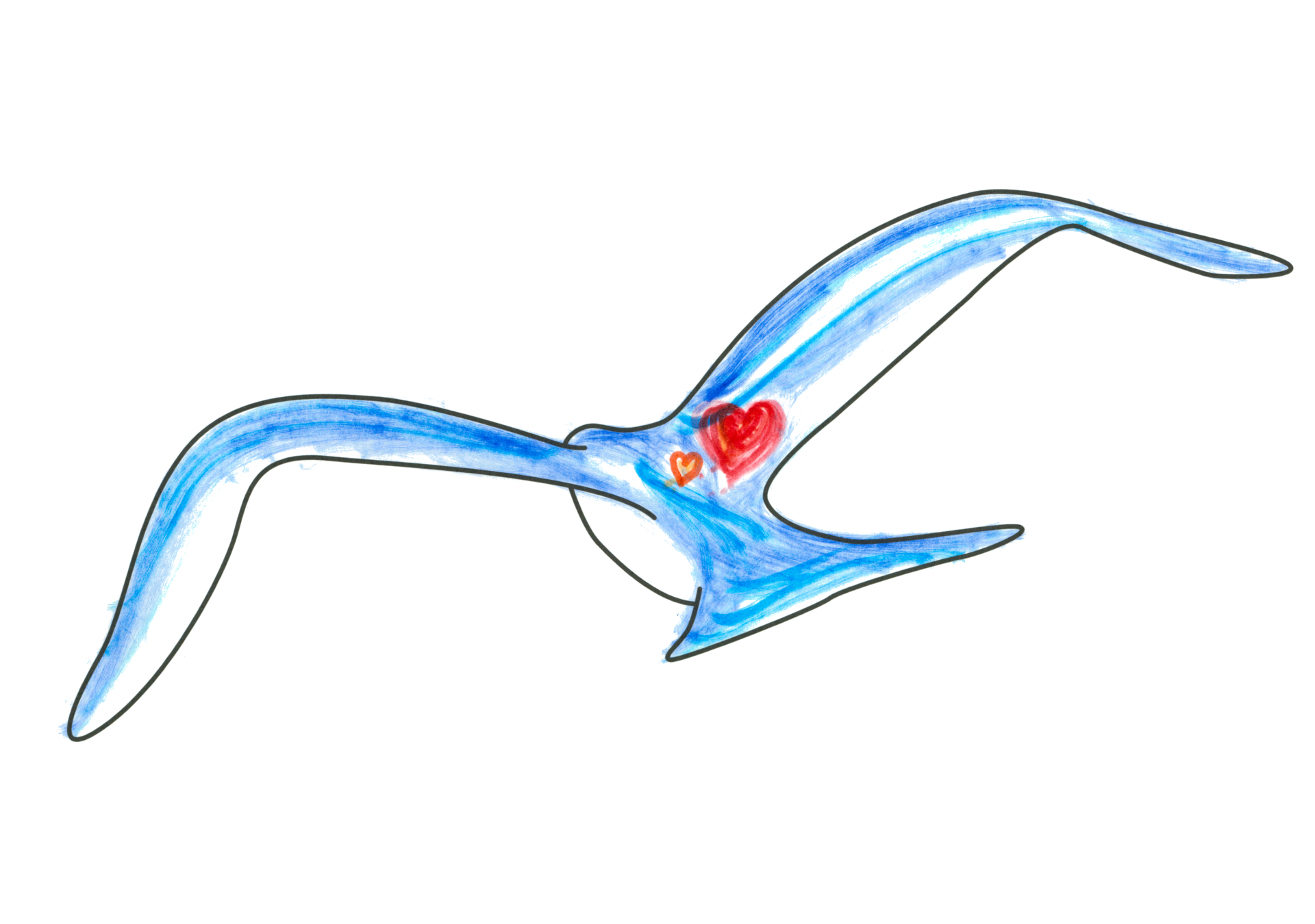 自由飛翔的天氣鳥