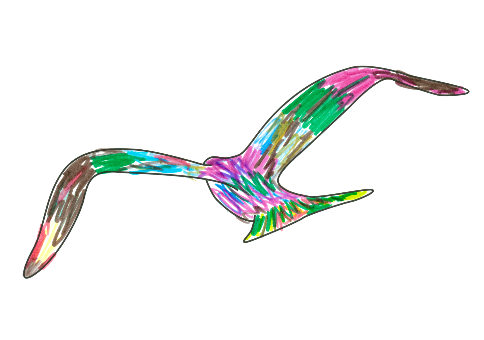 自由飛翔的天氣鳥