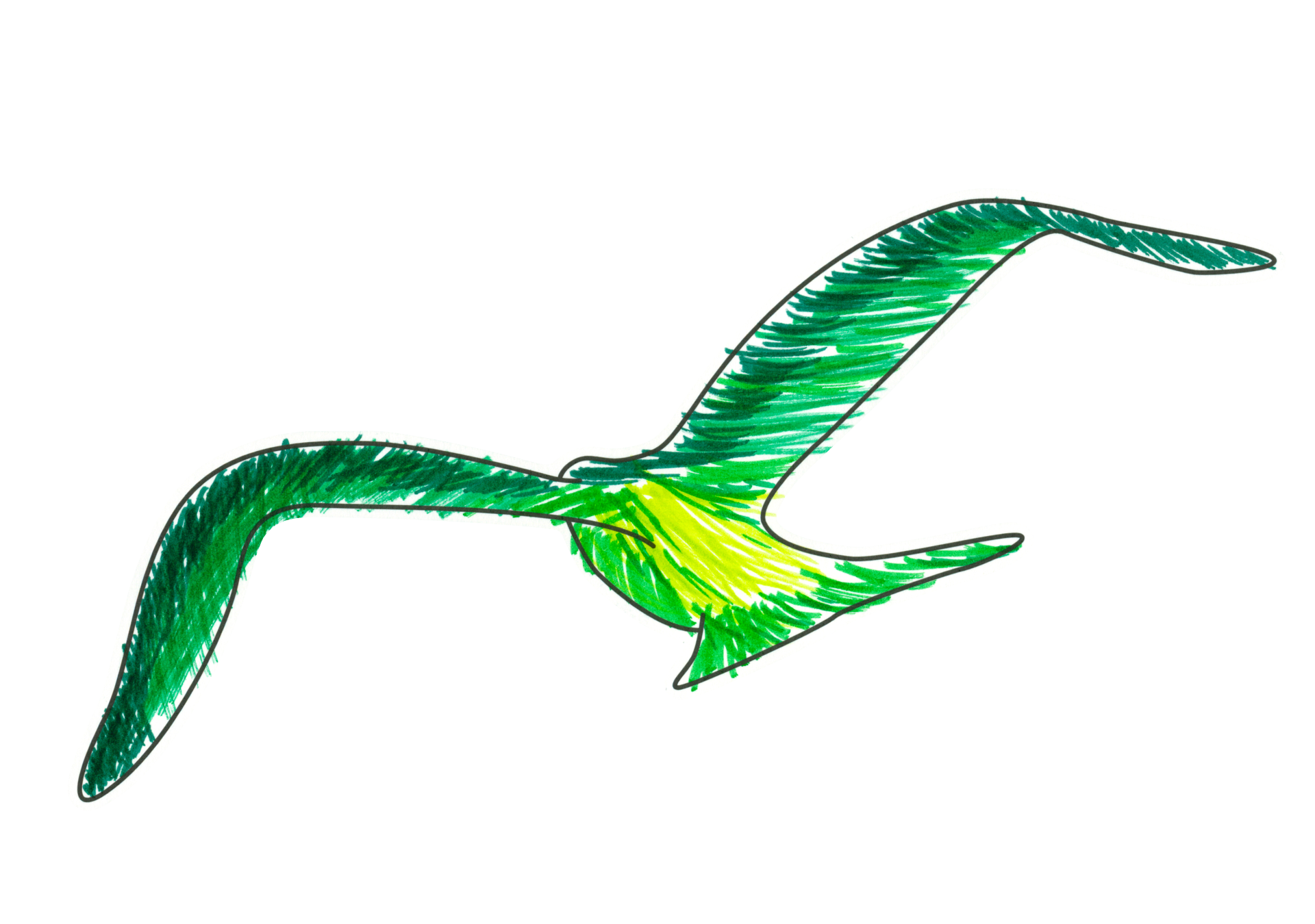 自由飛翔的天氣鳥