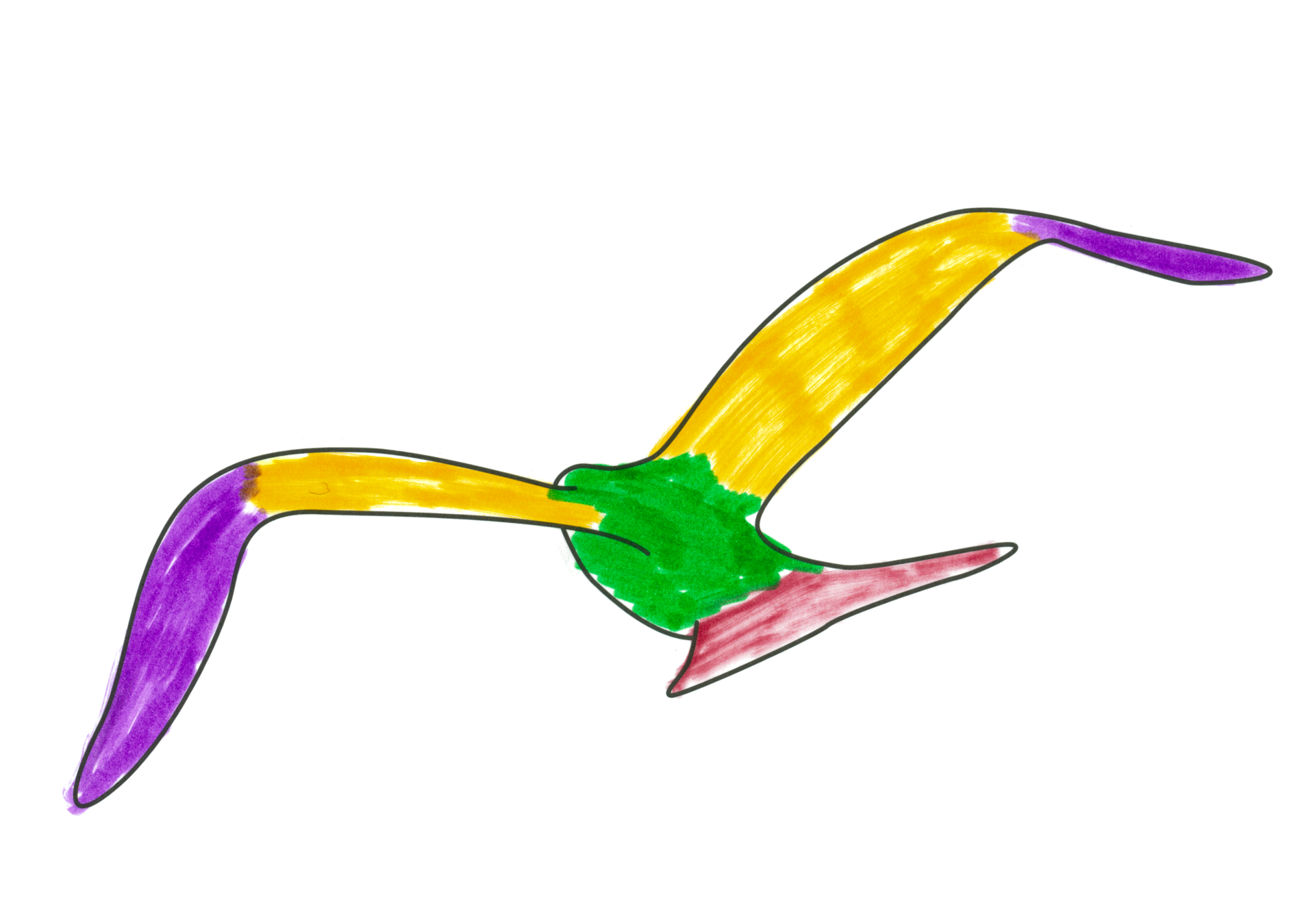 自由飛翔的天氣鳥