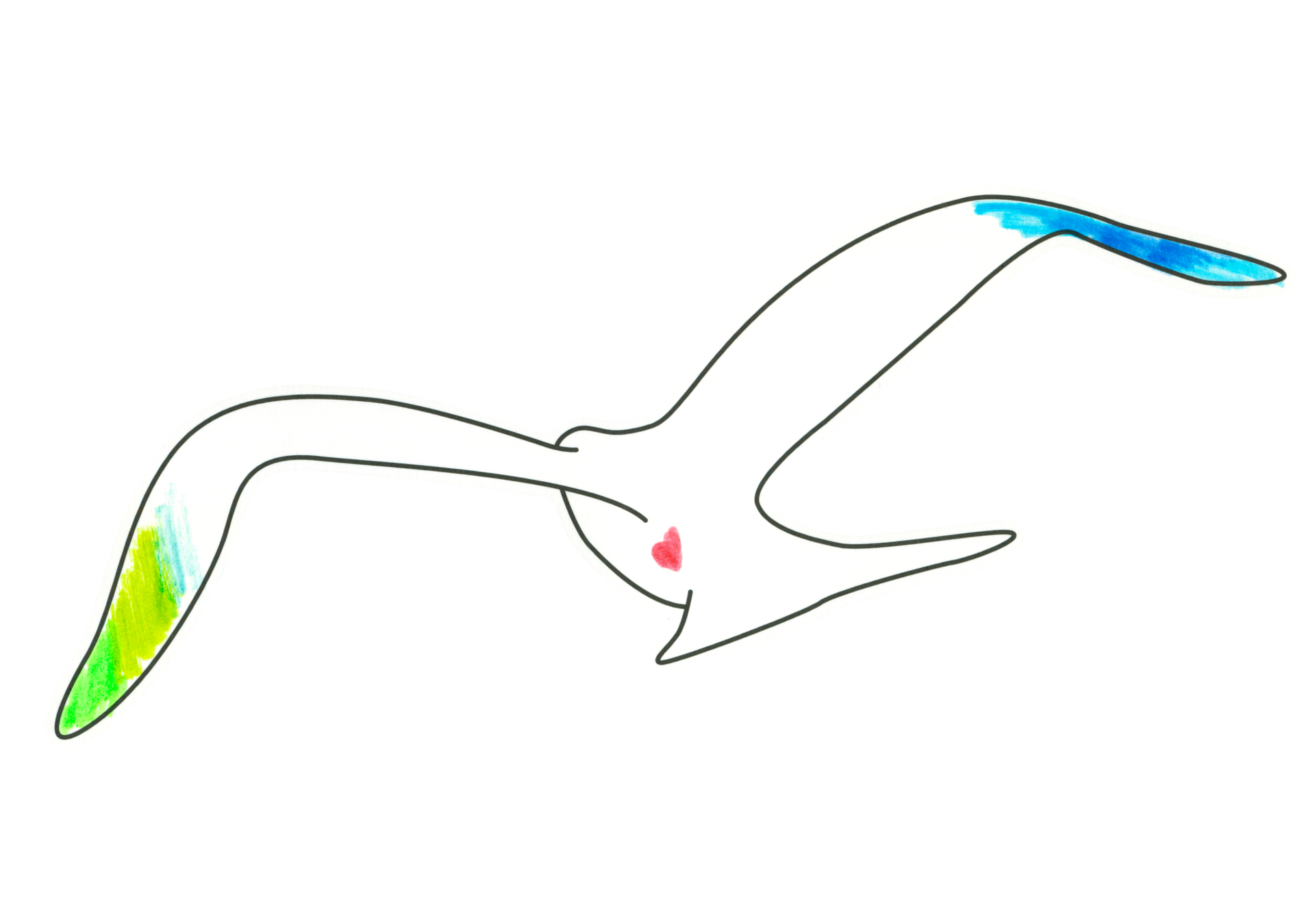 自由飛翔的天氣鳥