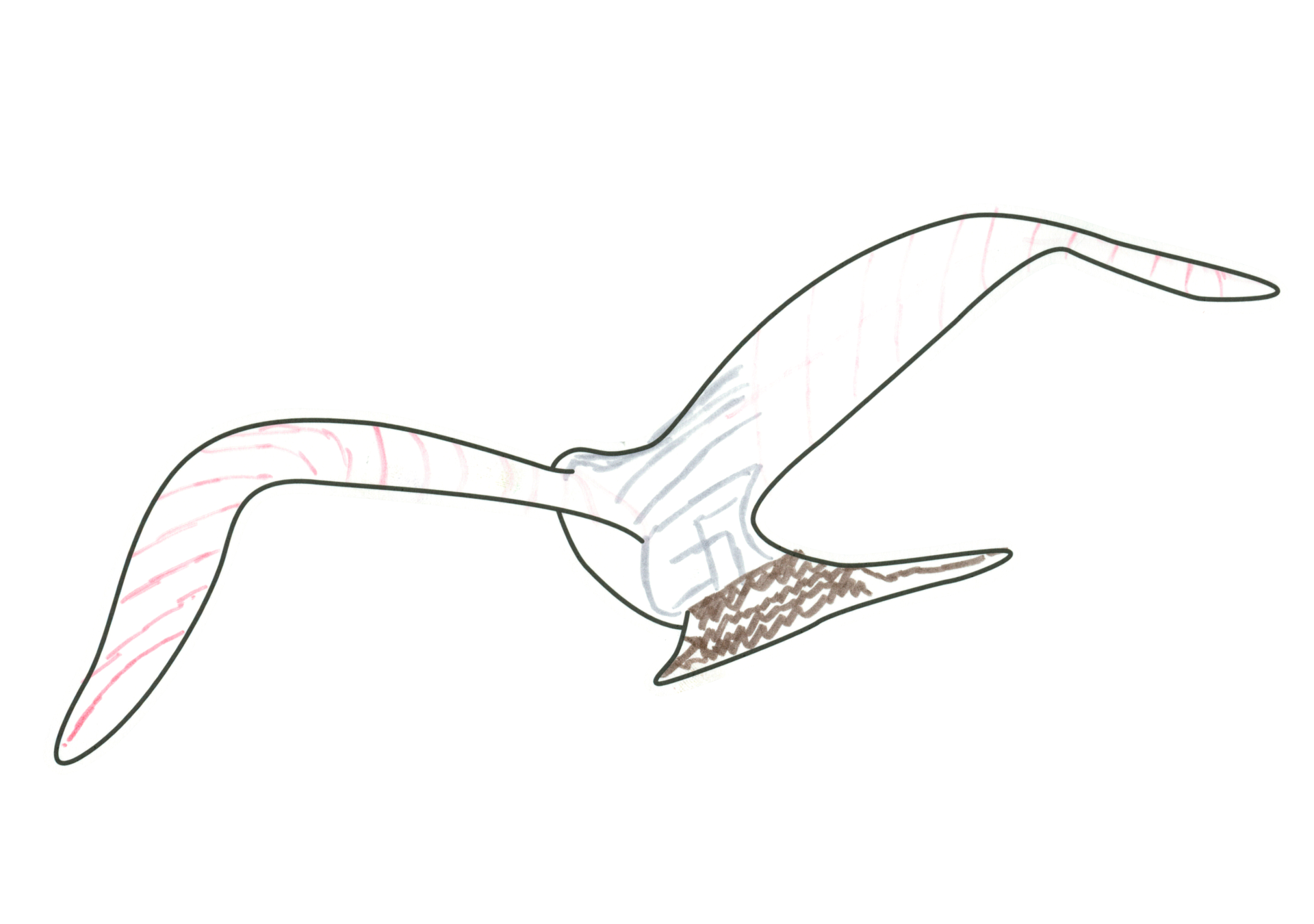 自由飛翔的天氣鳥