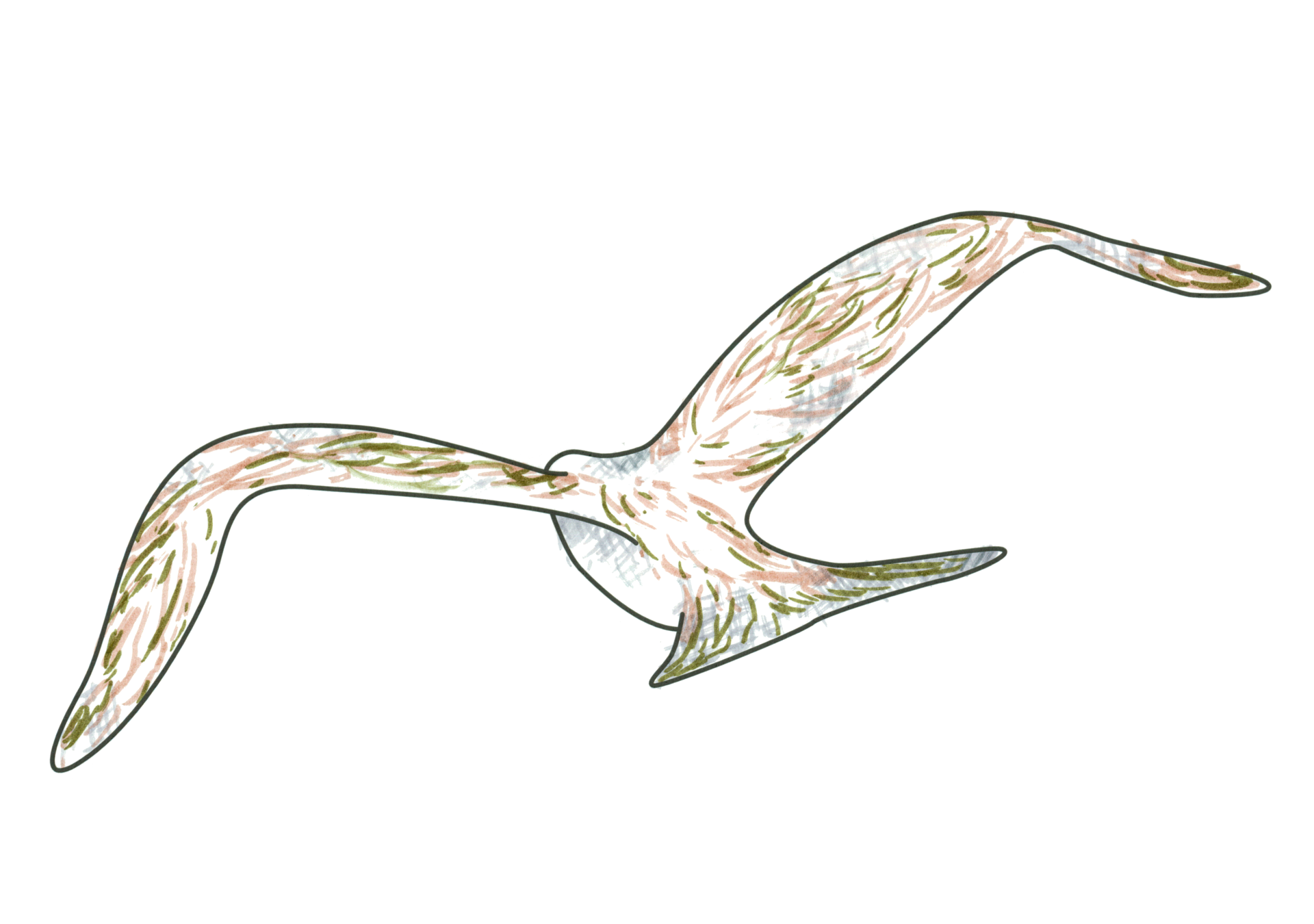 自由飛翔的天氣鳥