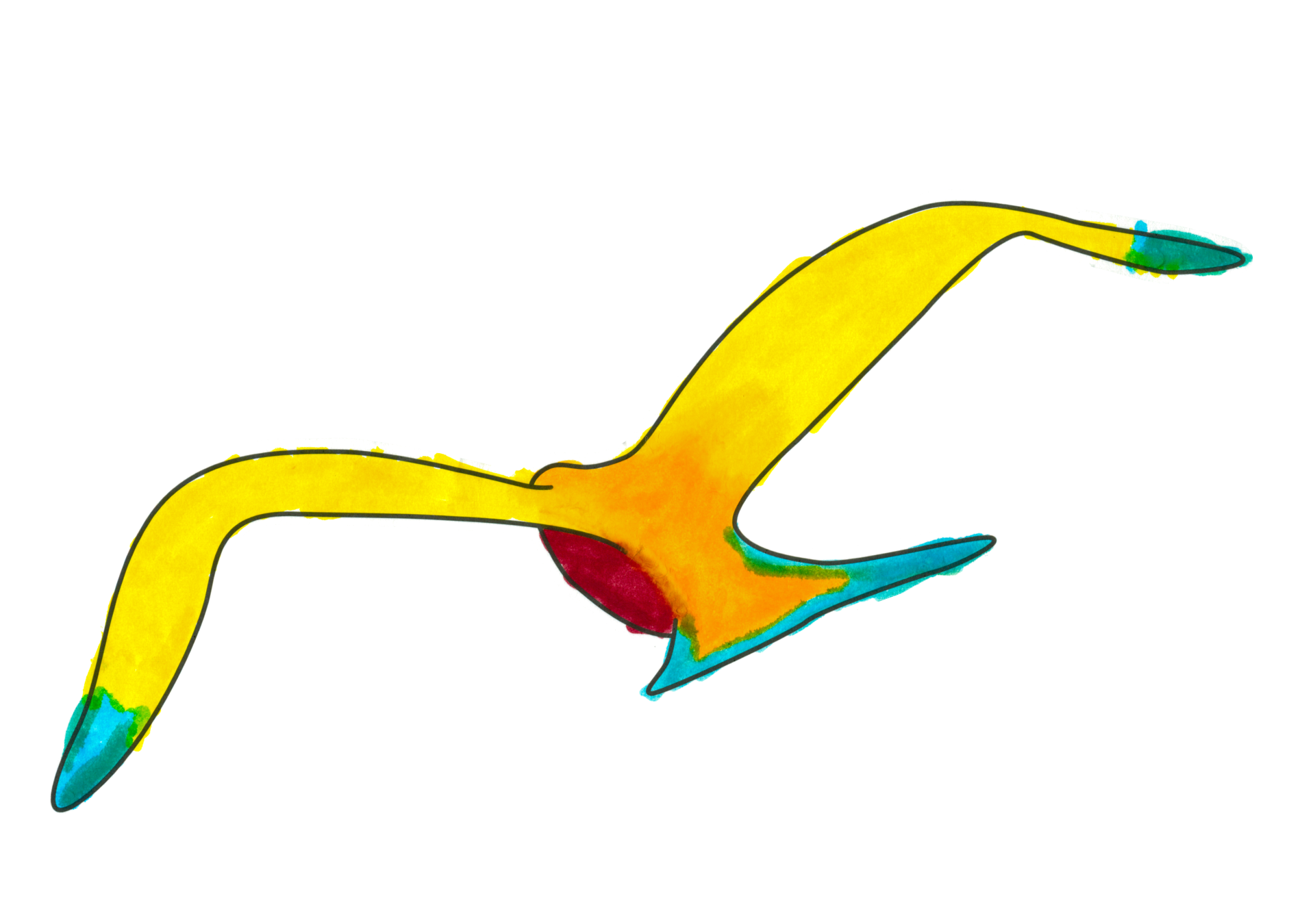 自由飛翔的天氣鳥