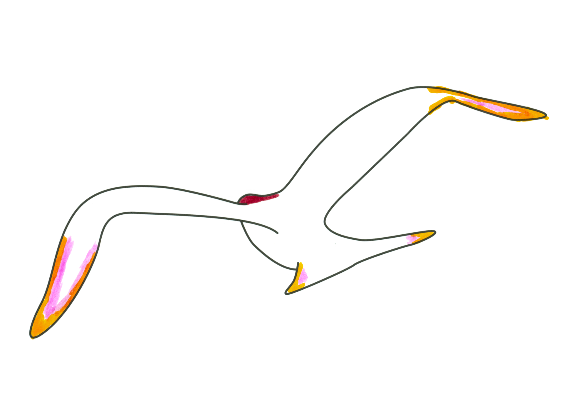 自由飛翔的天氣鳥