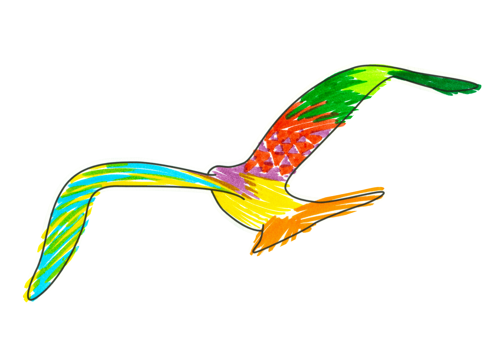 自由飛翔的天氣鳥