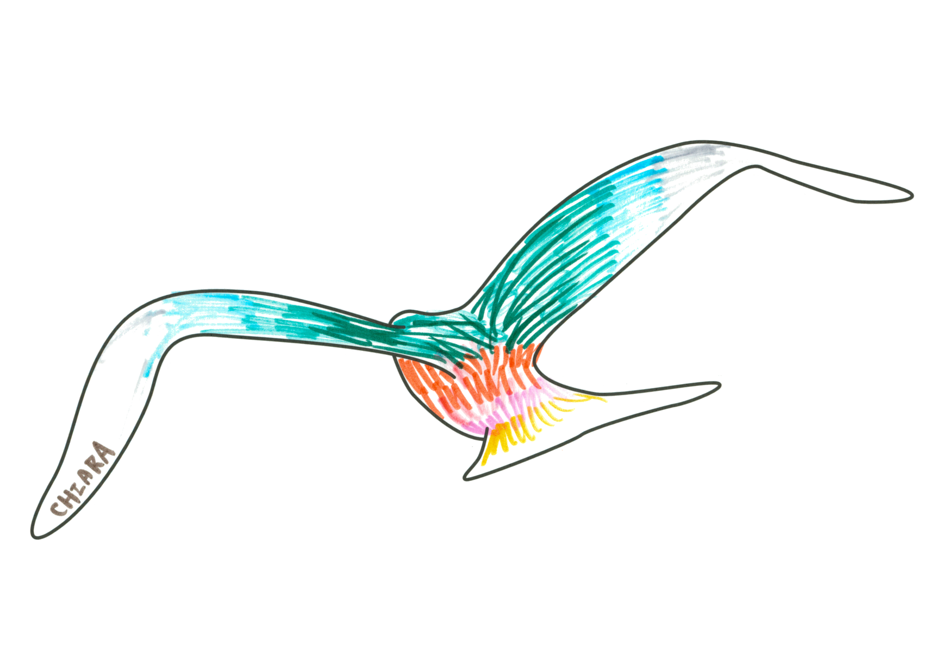 自由飛翔的天氣鳥