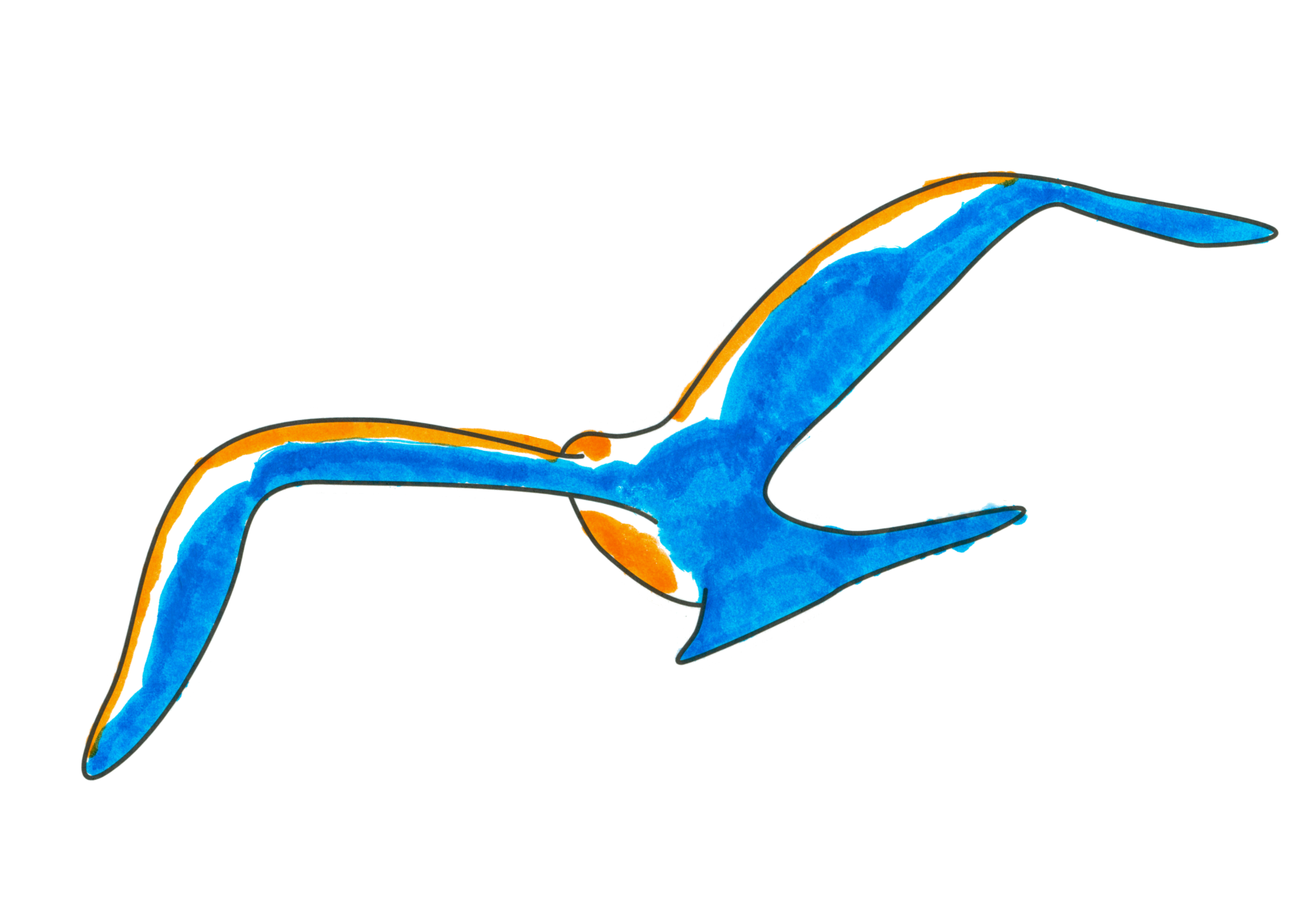 自由飛翔的天氣鳥