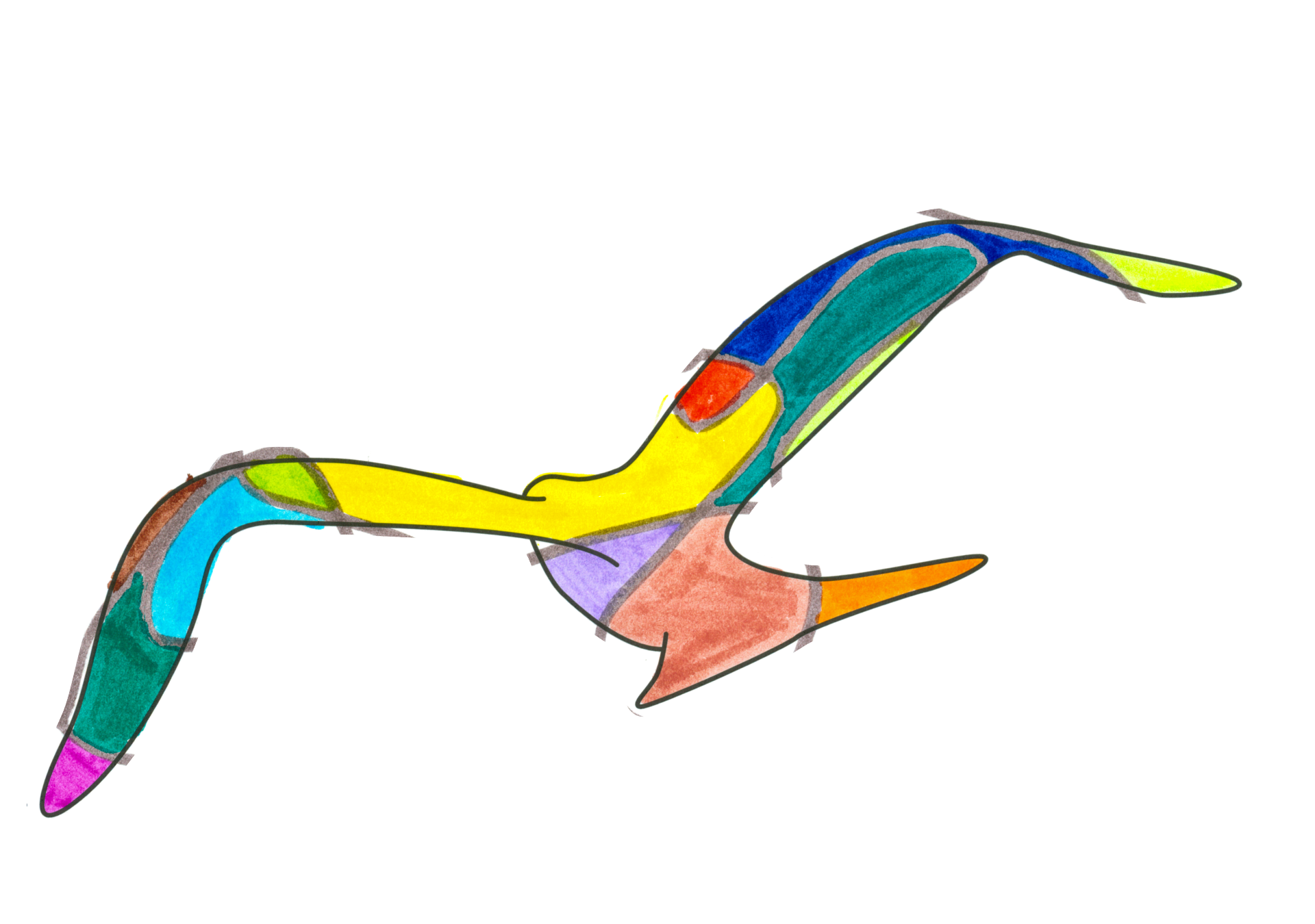 自由飛翔的天氣鳥