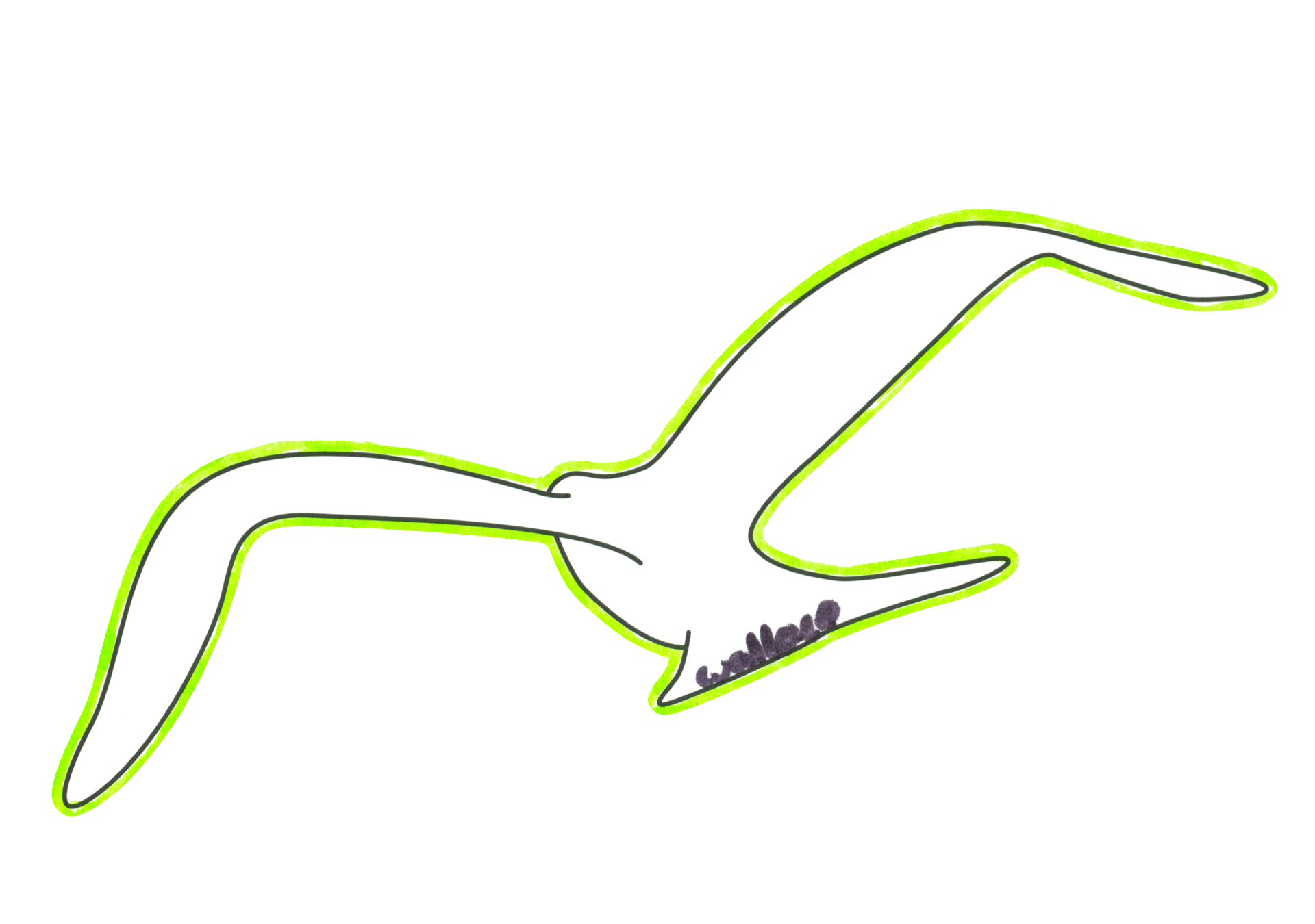 自由飛翔的天氣鳥