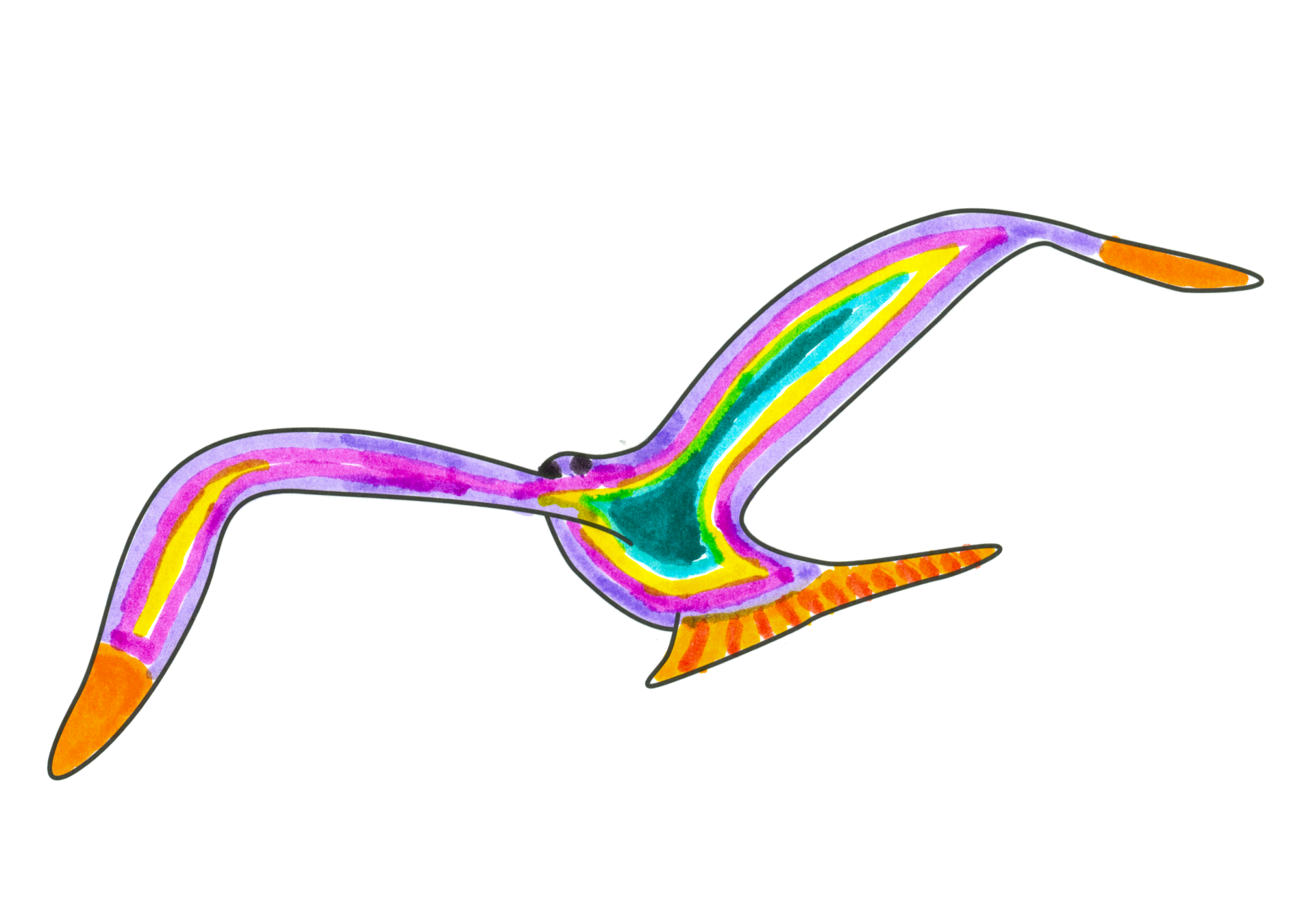 自由飛翔的天氣鳥
