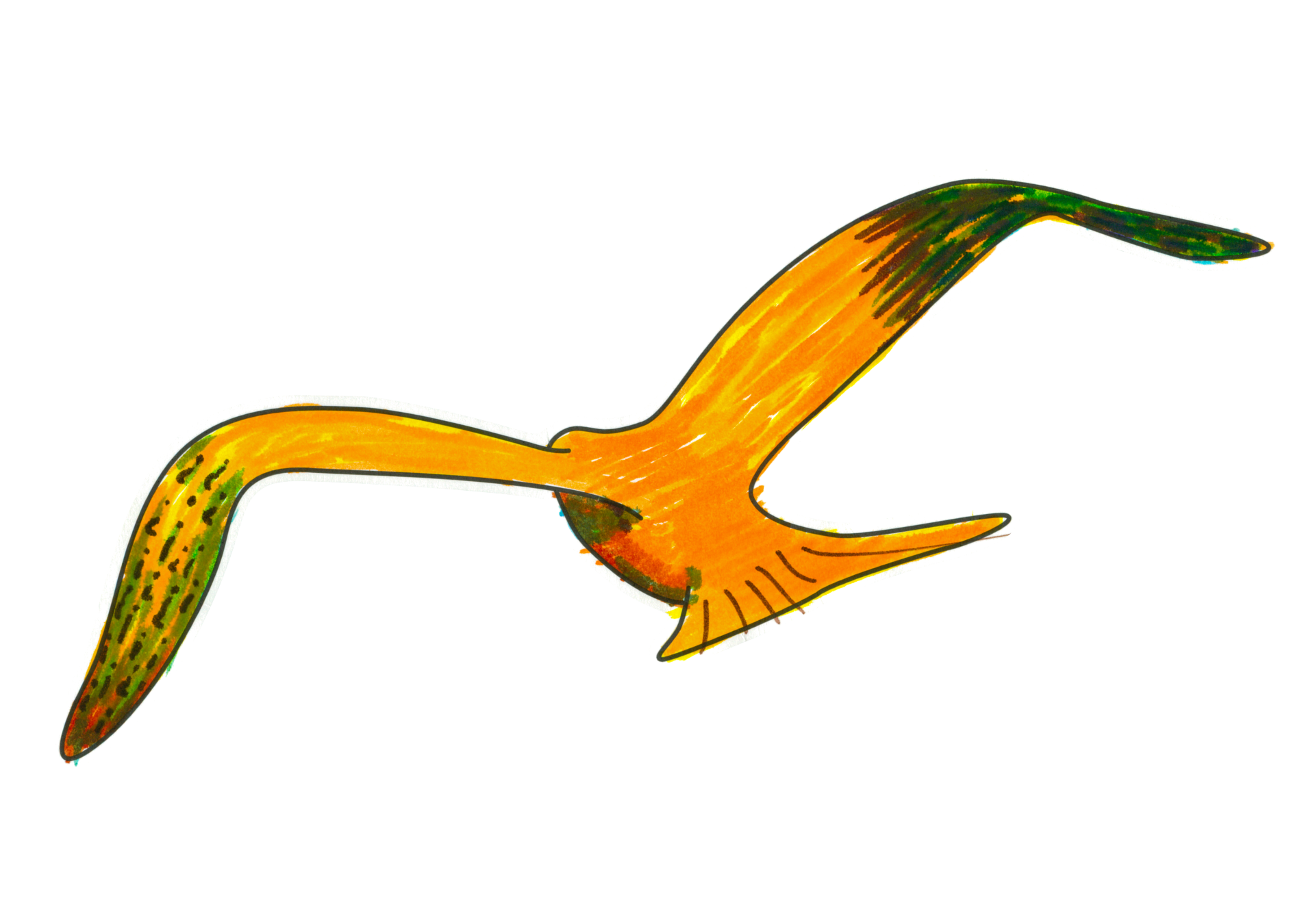自由飛翔的天氣鳥
