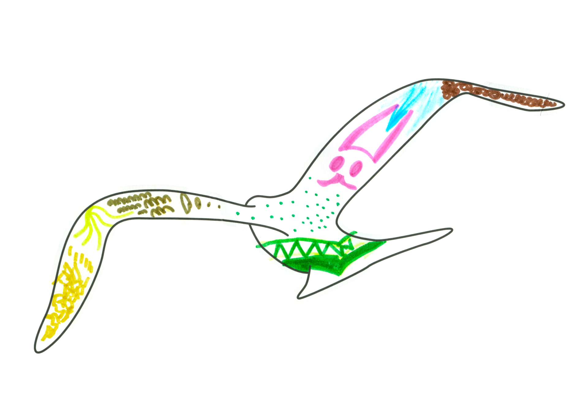 自由飛翔的天氣鳥