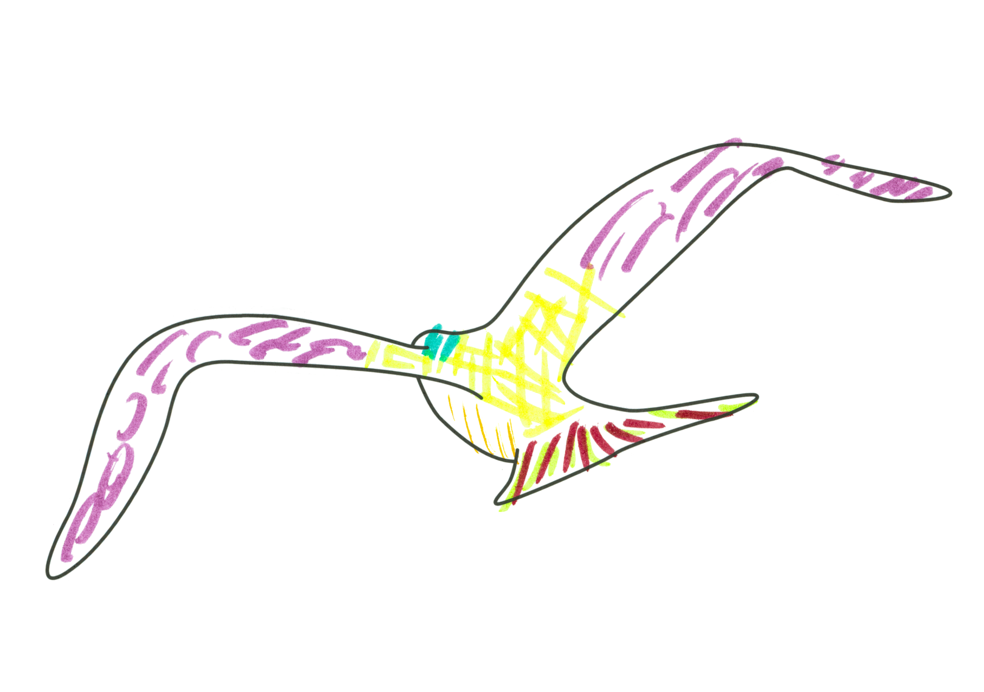 自由飛翔的天氣鳥