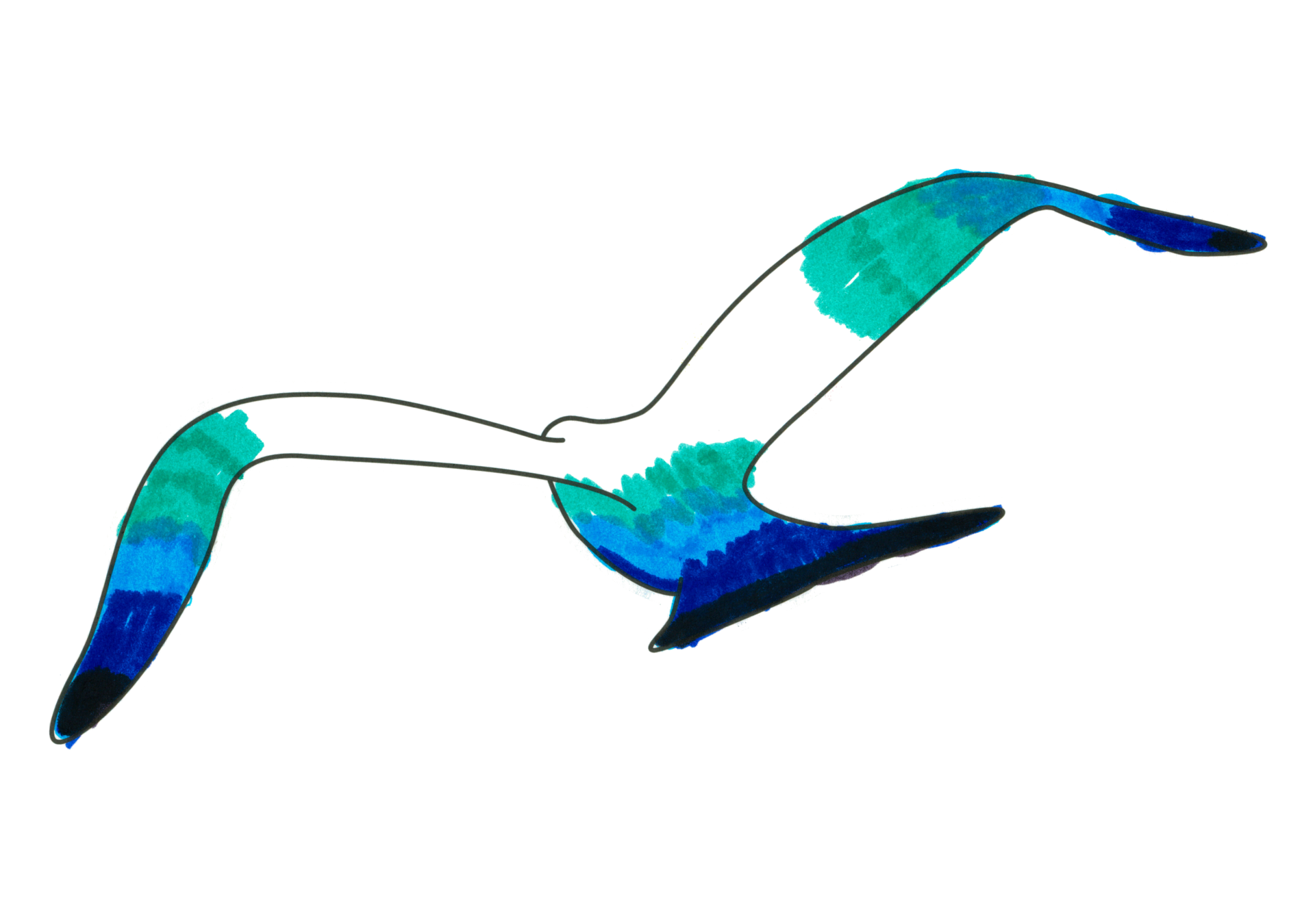自由飛翔的天氣鳥