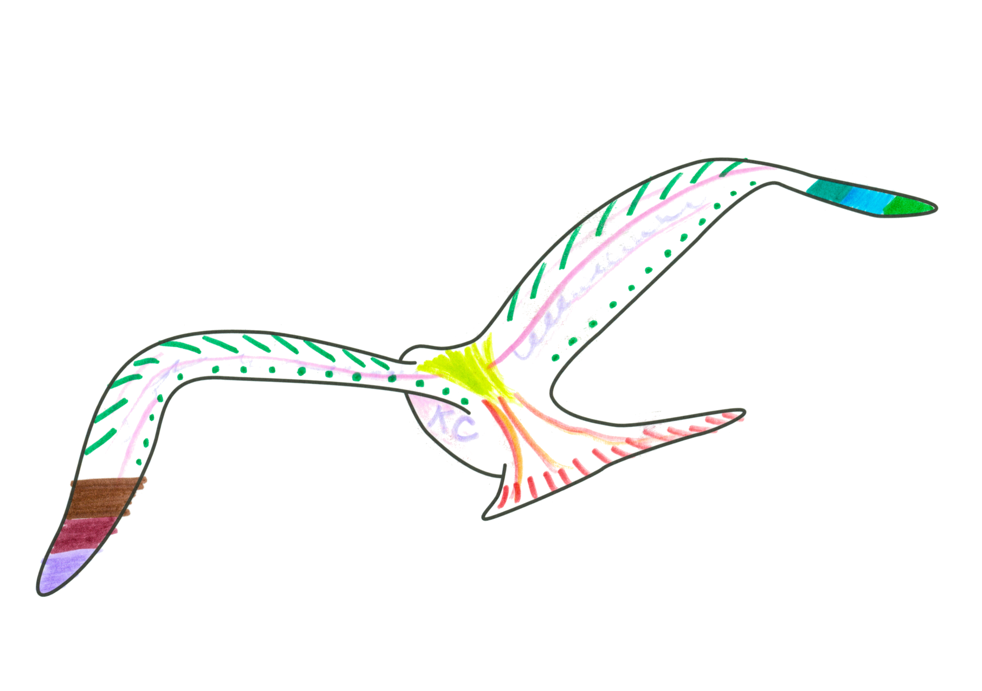 Orion