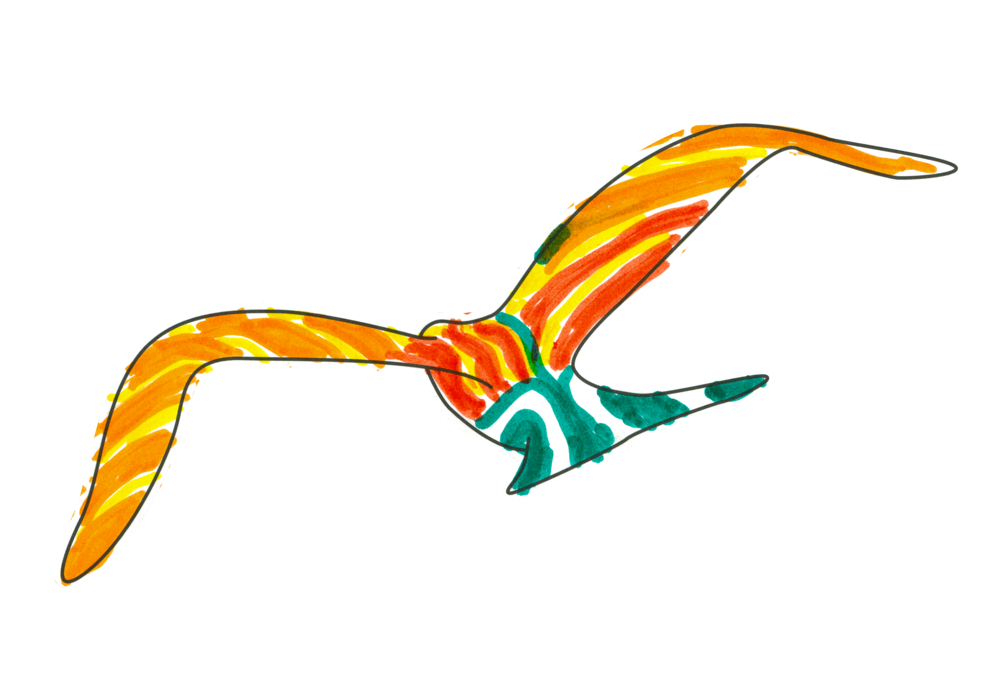 自由飛翔的天氣鳥